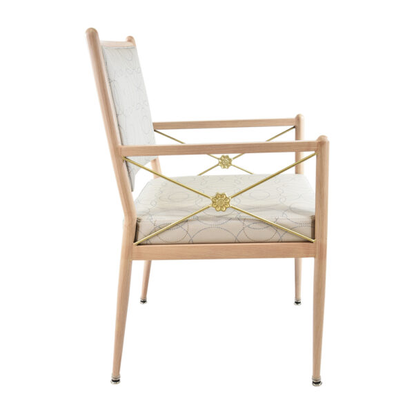 Remo Arm Chair - CM-4098-A