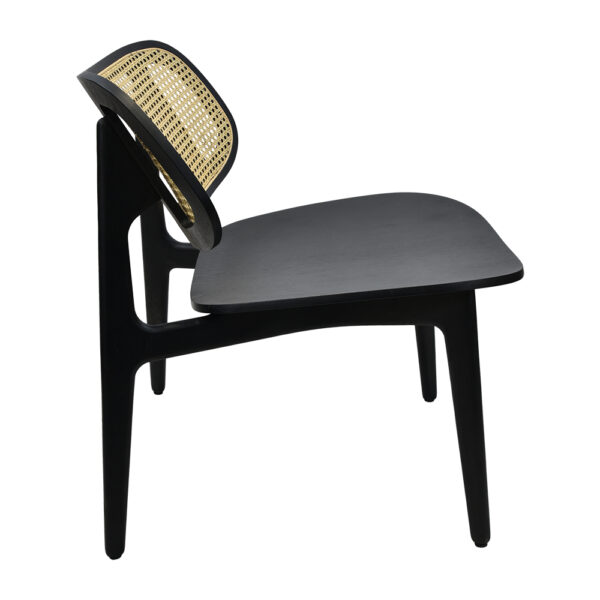 Brazil Wide Chair - CW-3716-W