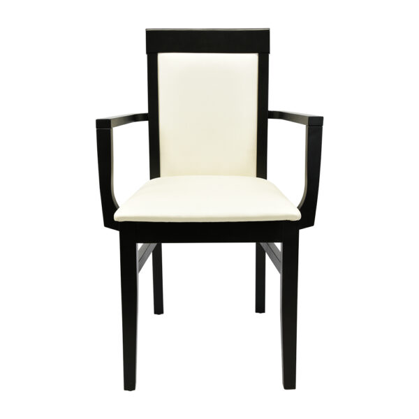 Burns Arm Chair - CW-3922-A