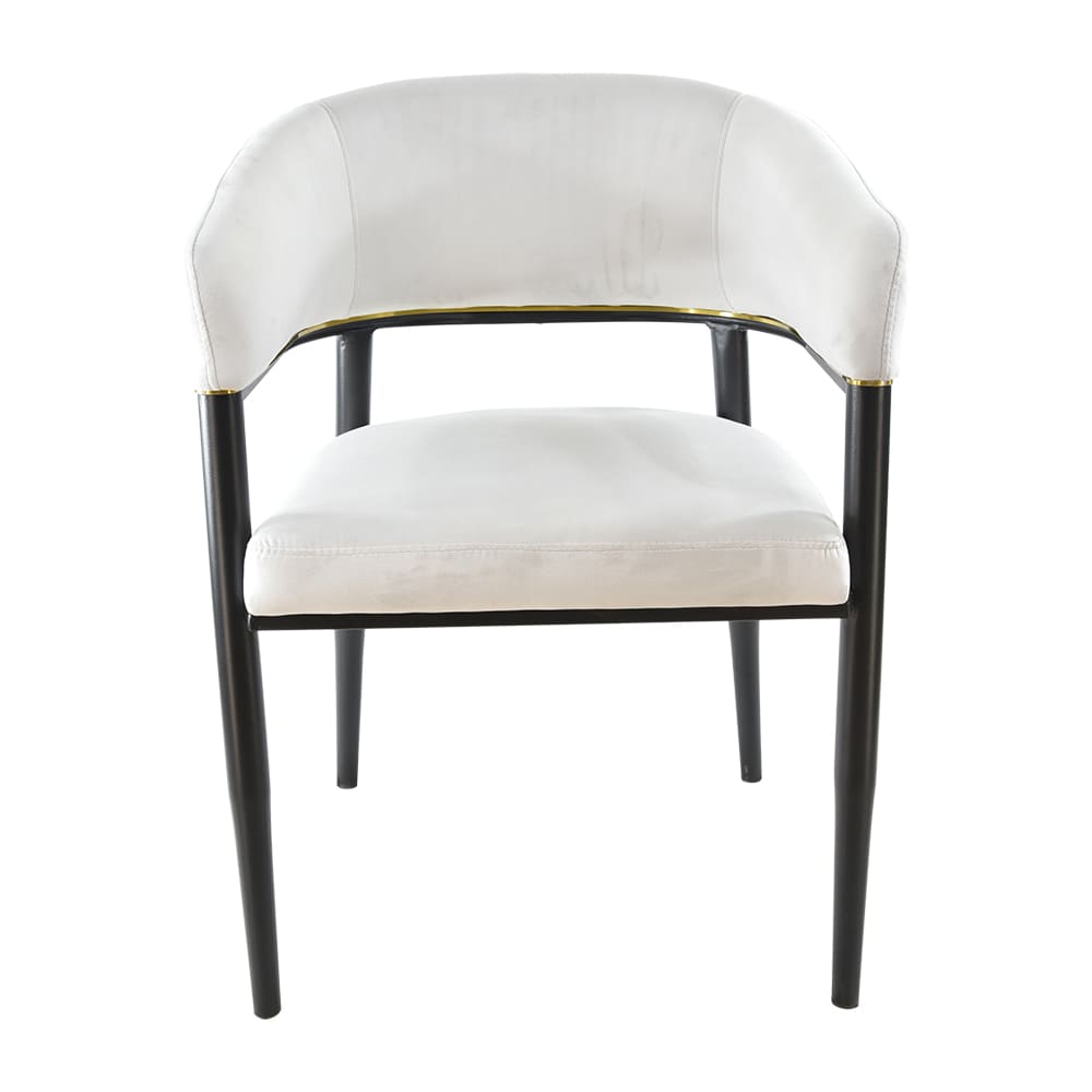 Montclair Arm Chair - CM-4031-A