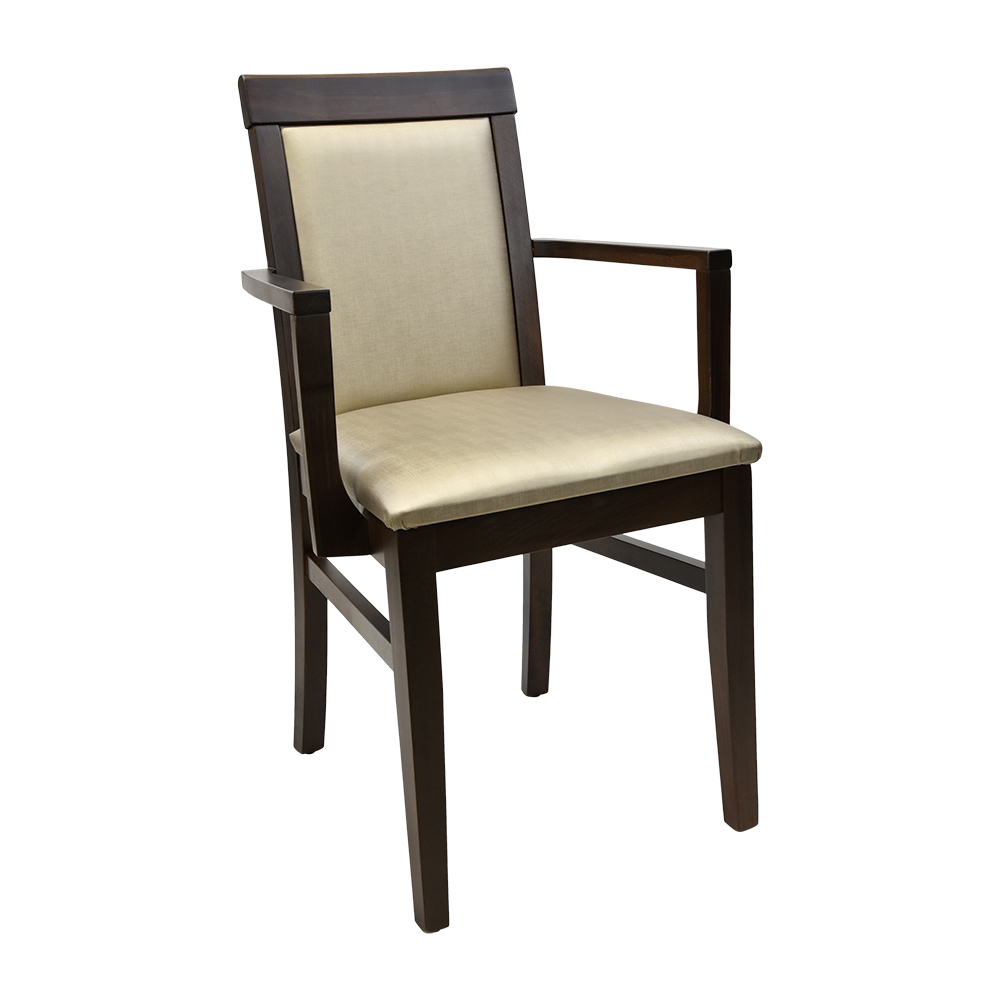 Burns Arm Chair - CW-3922-A