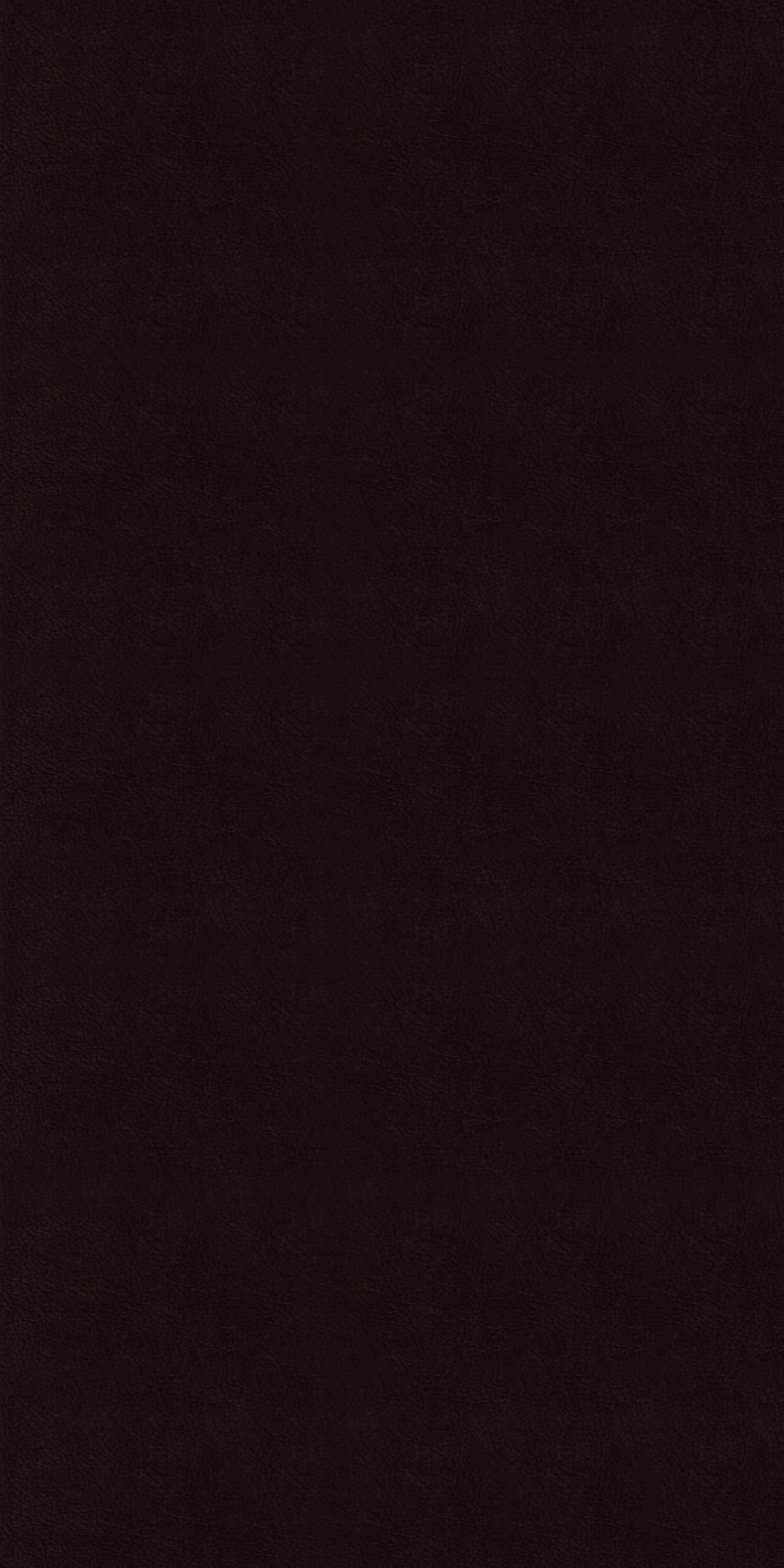 304-1-Cleantex-593752-Velvet