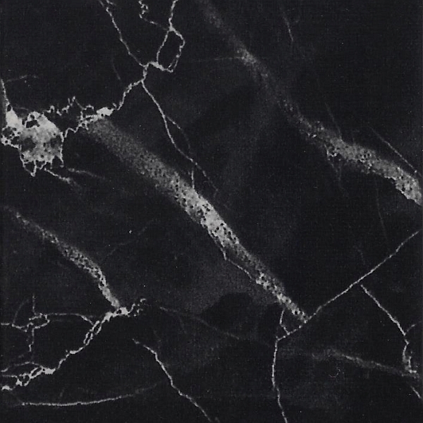 Metal Finish Swatch - Ebony #85 {WG}