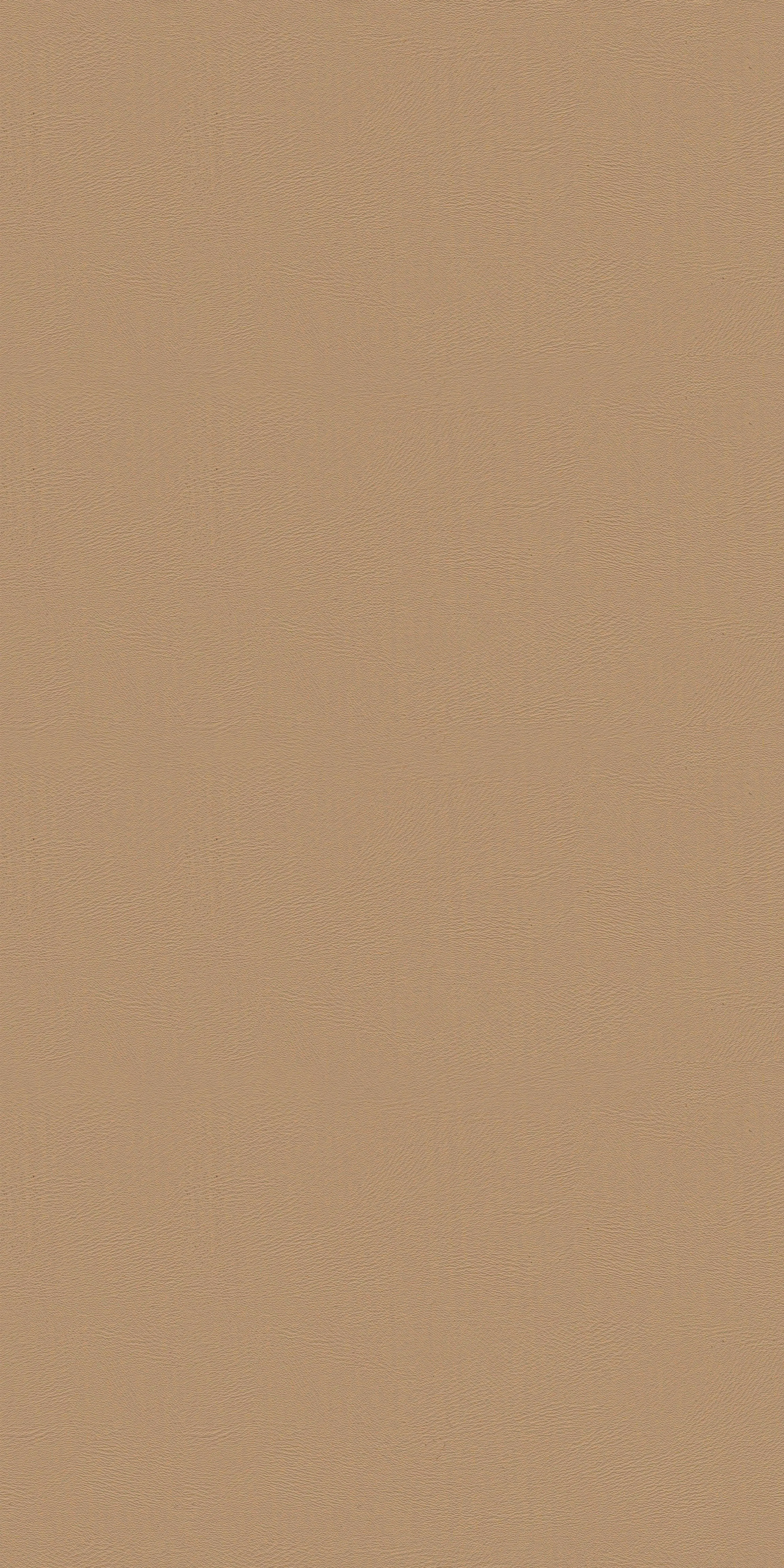 106-2-Massach-29-Vinyl