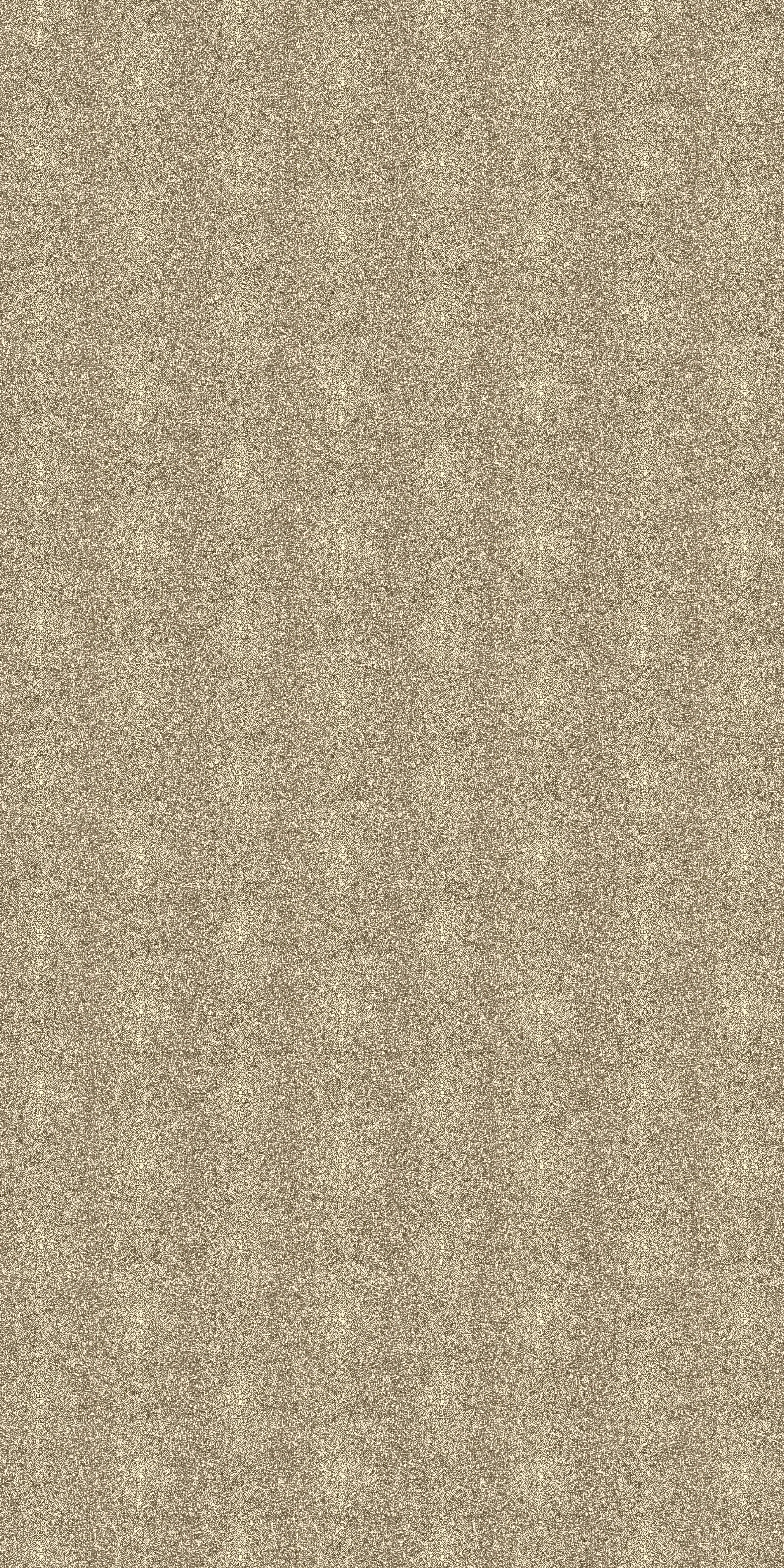 106-5-Stingray-03-Vinyl