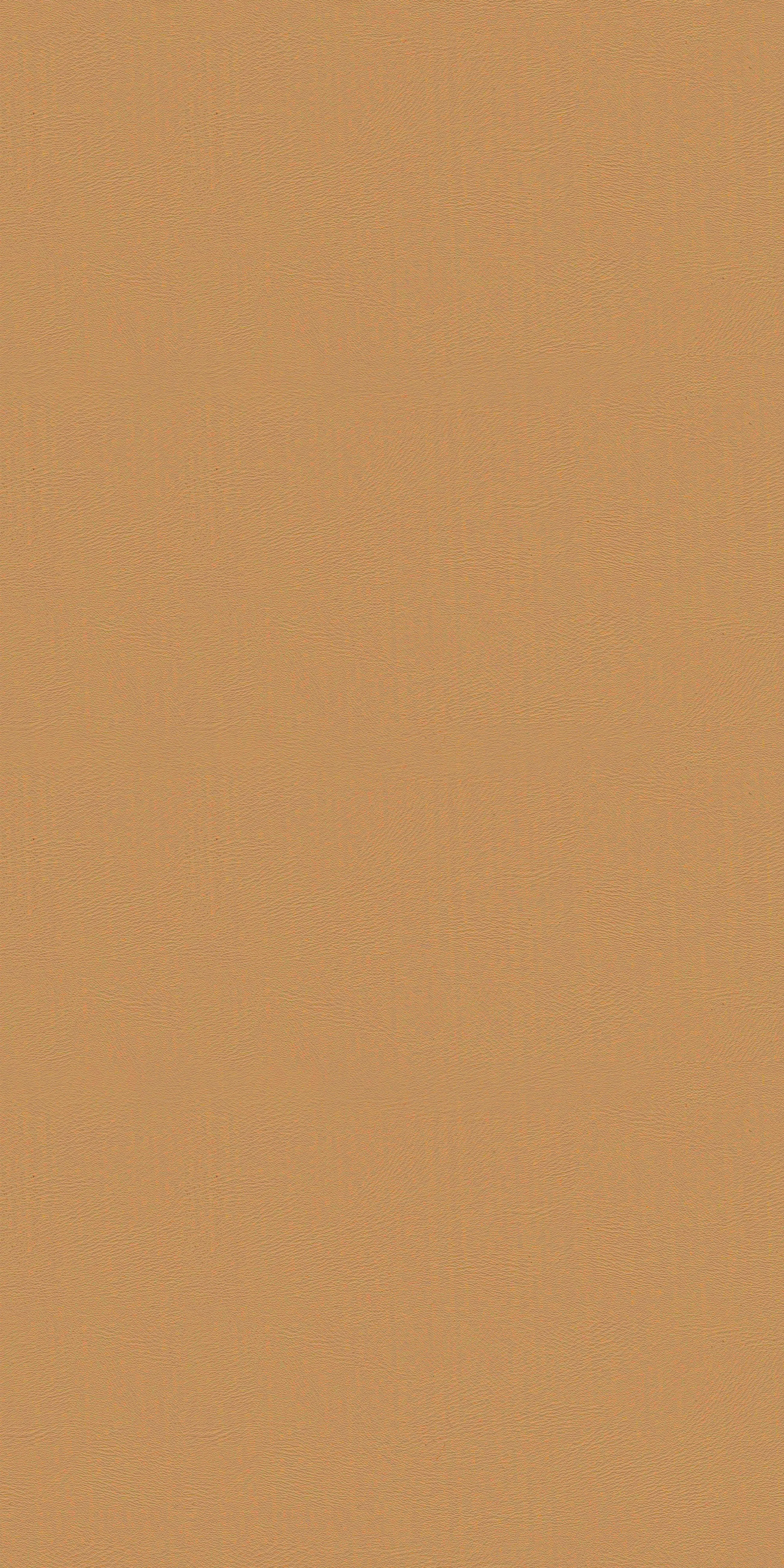 107-1-Massach-30 - Vinyl