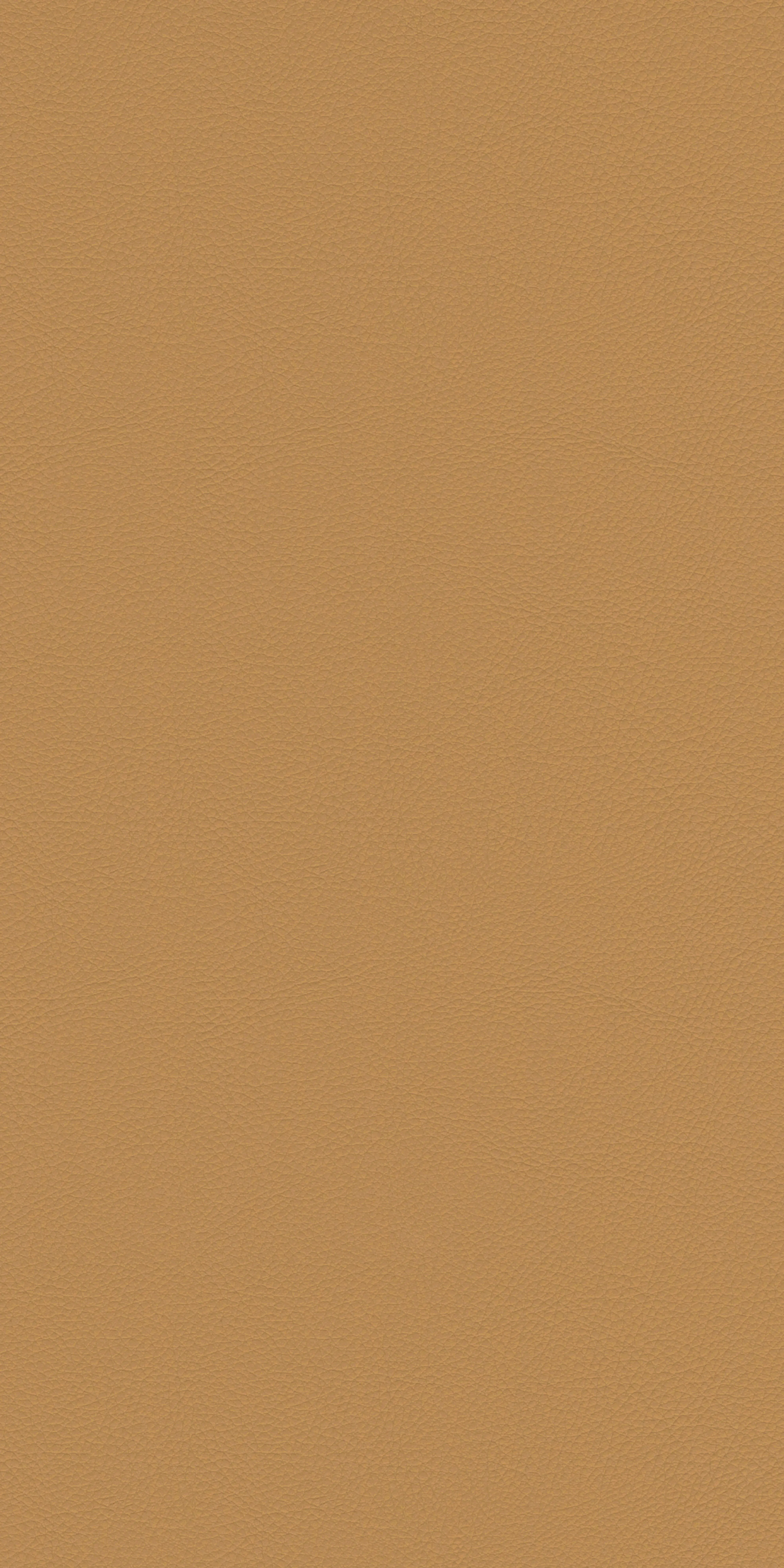 107-3-Harvard-20-Vinyl