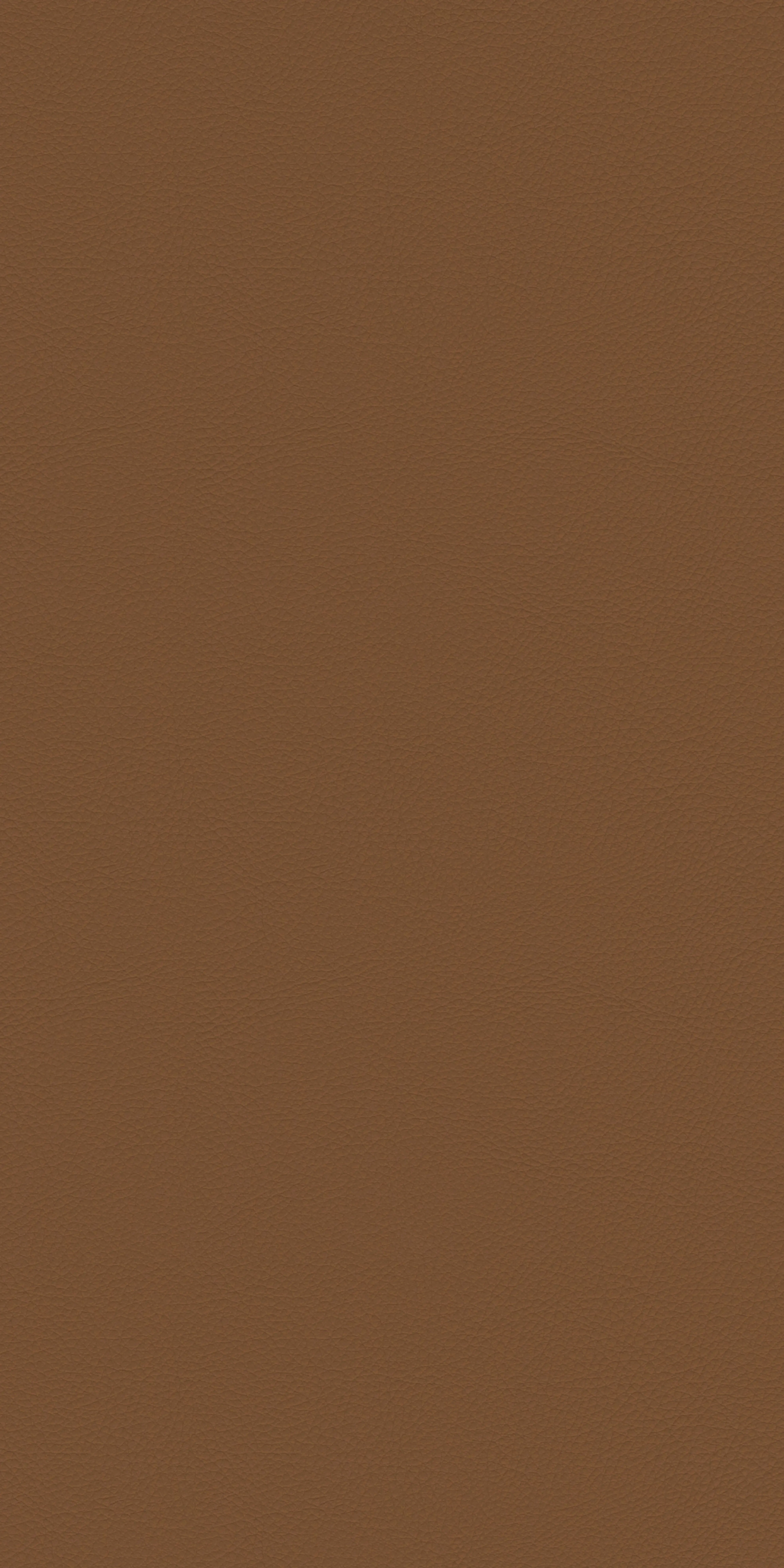 109-1-Harvard-13-Vinyl