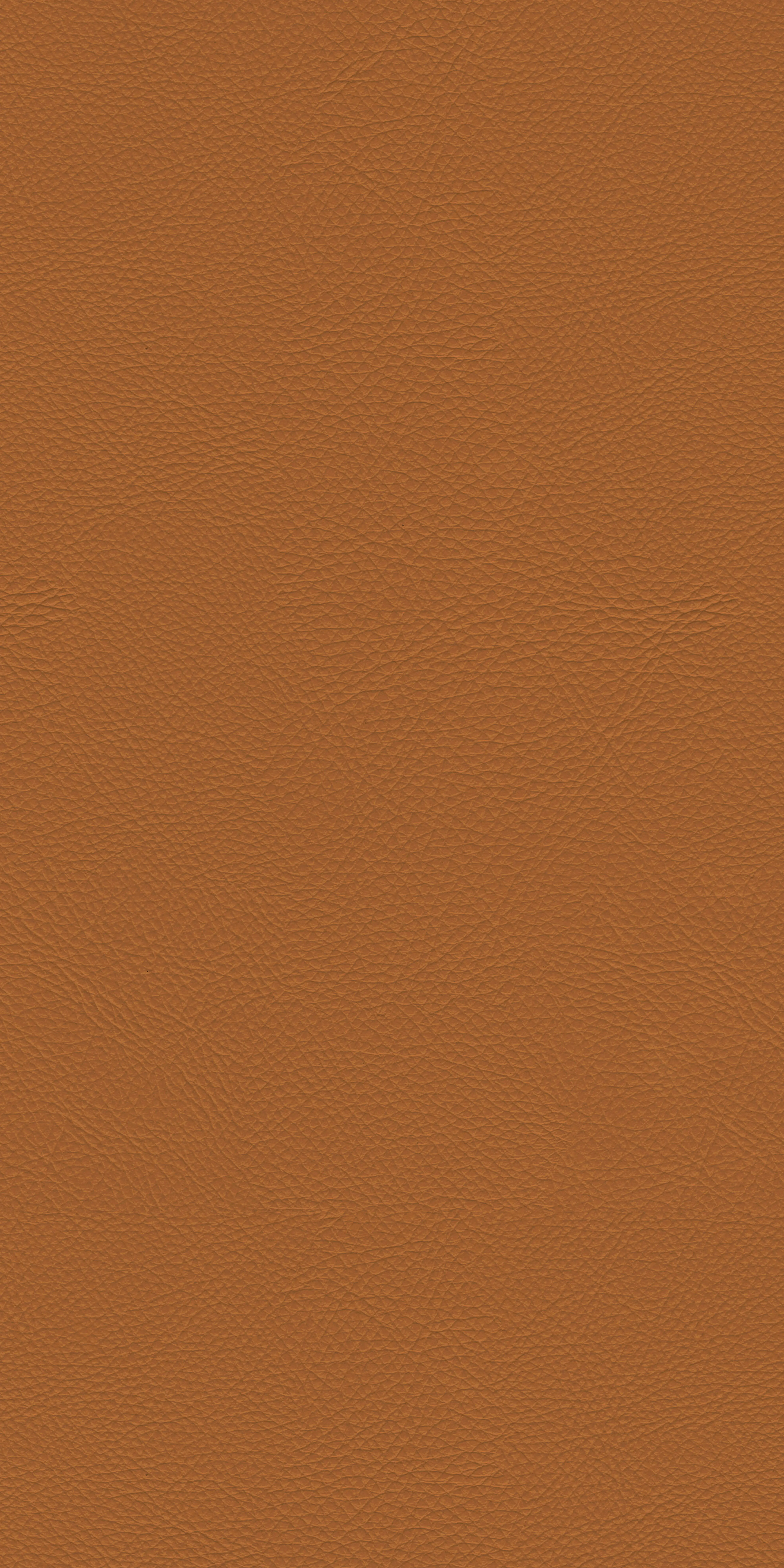 110-1-Genova-29-Vinyl