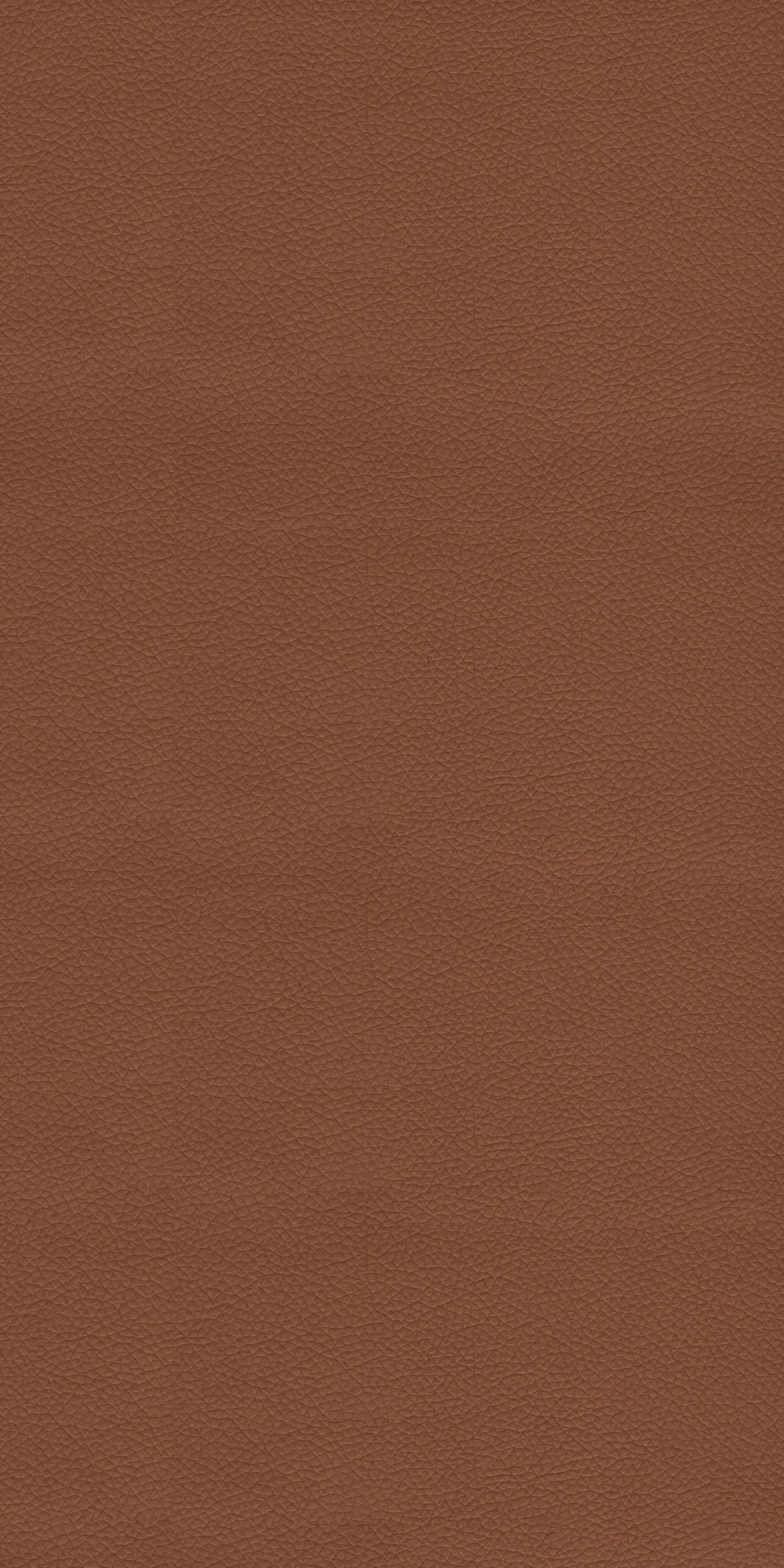 110-5-Umass-10-Vinyl