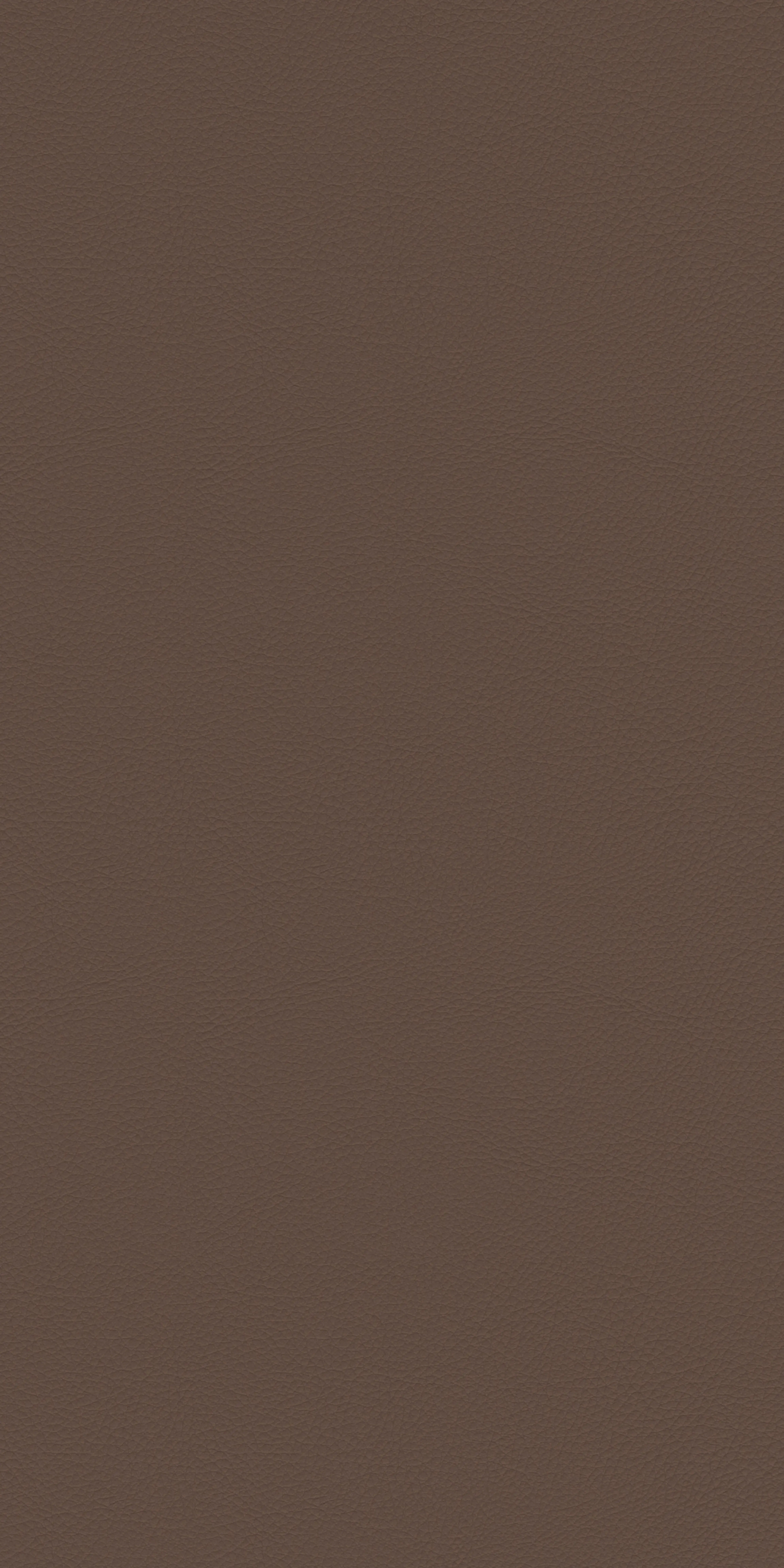 113-2-Harvard-14-Vinyl