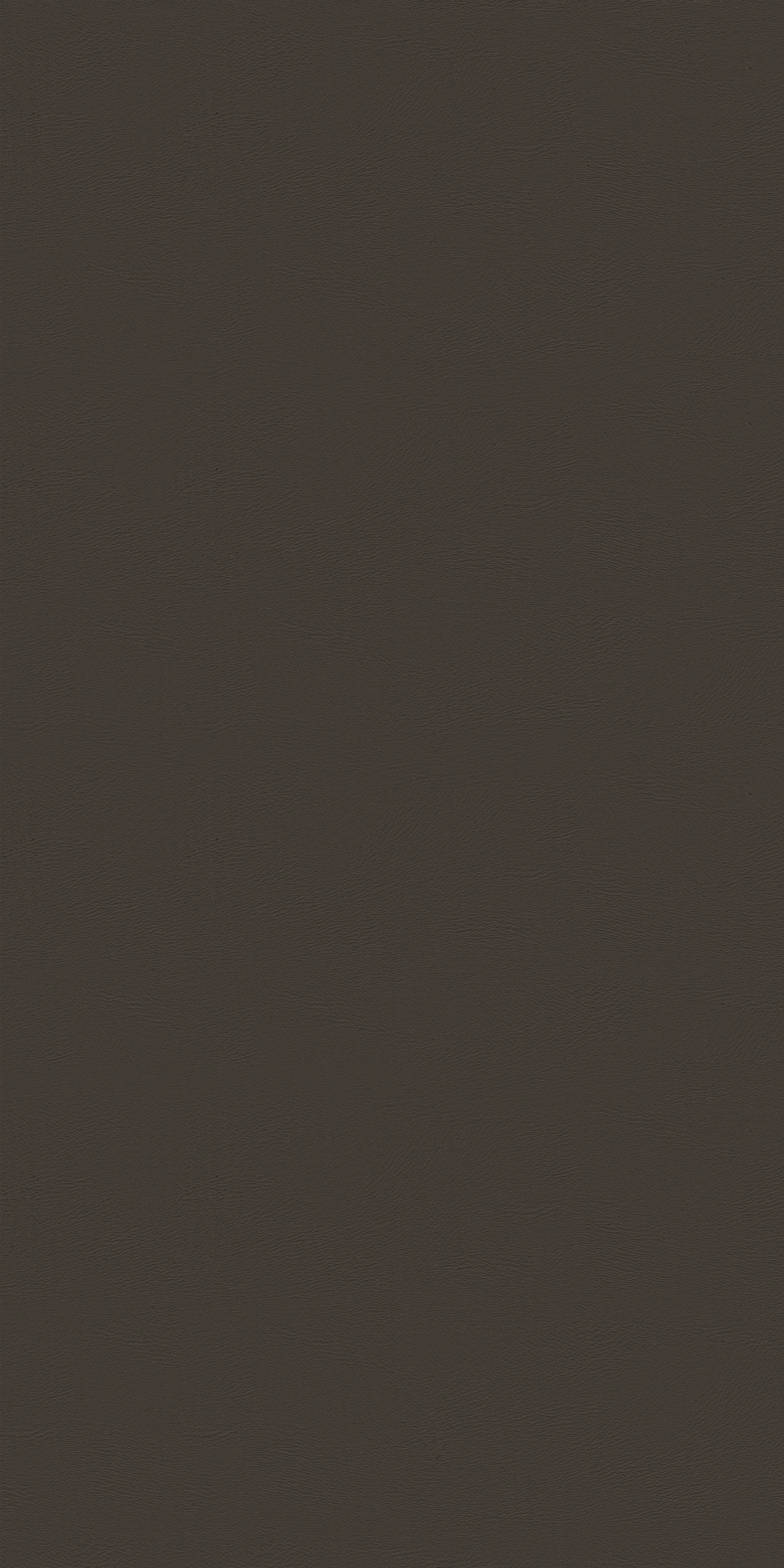 118-5-Massach-91-Vinyl