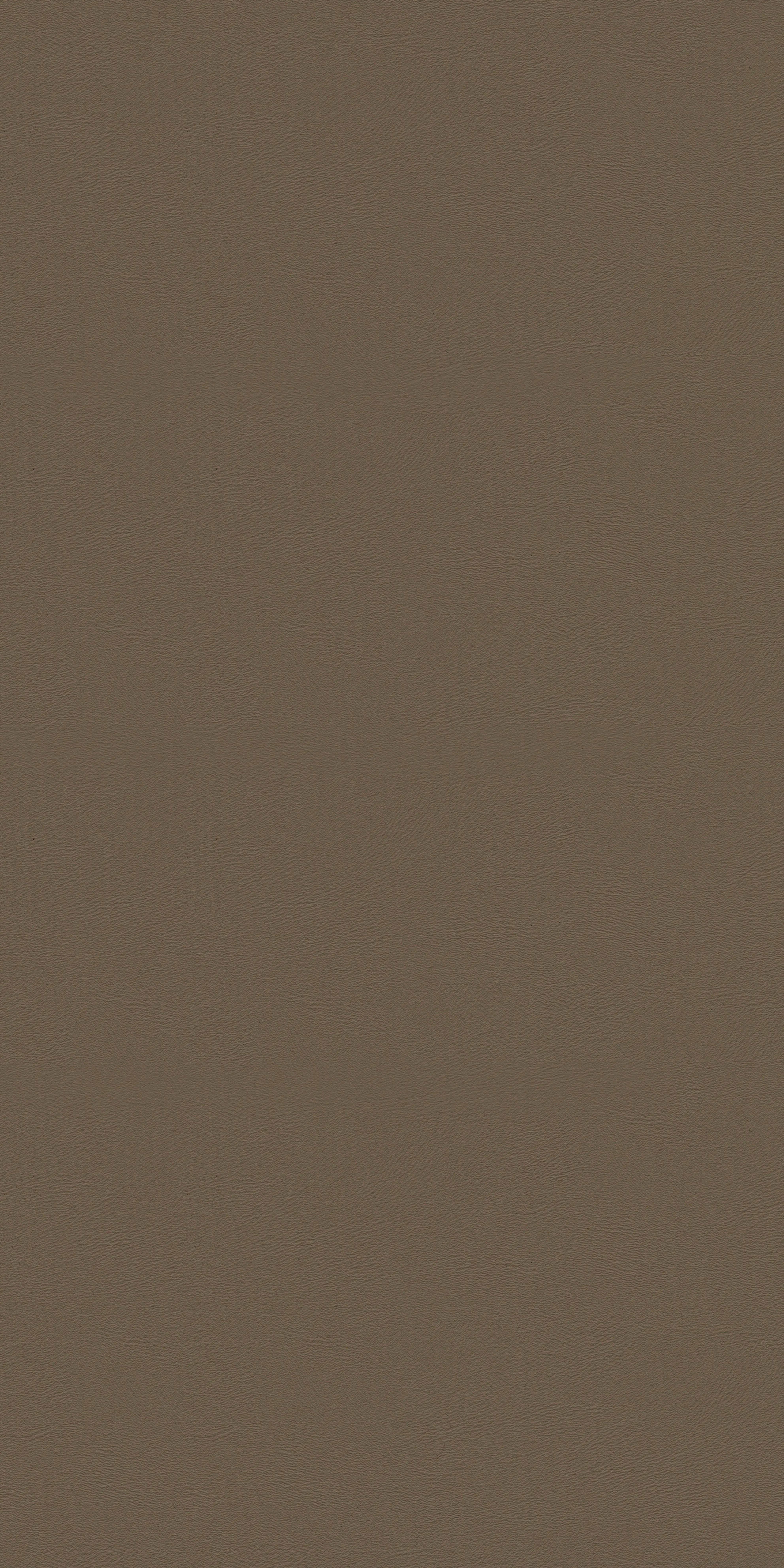 129-4-Massach-18-Vinyl