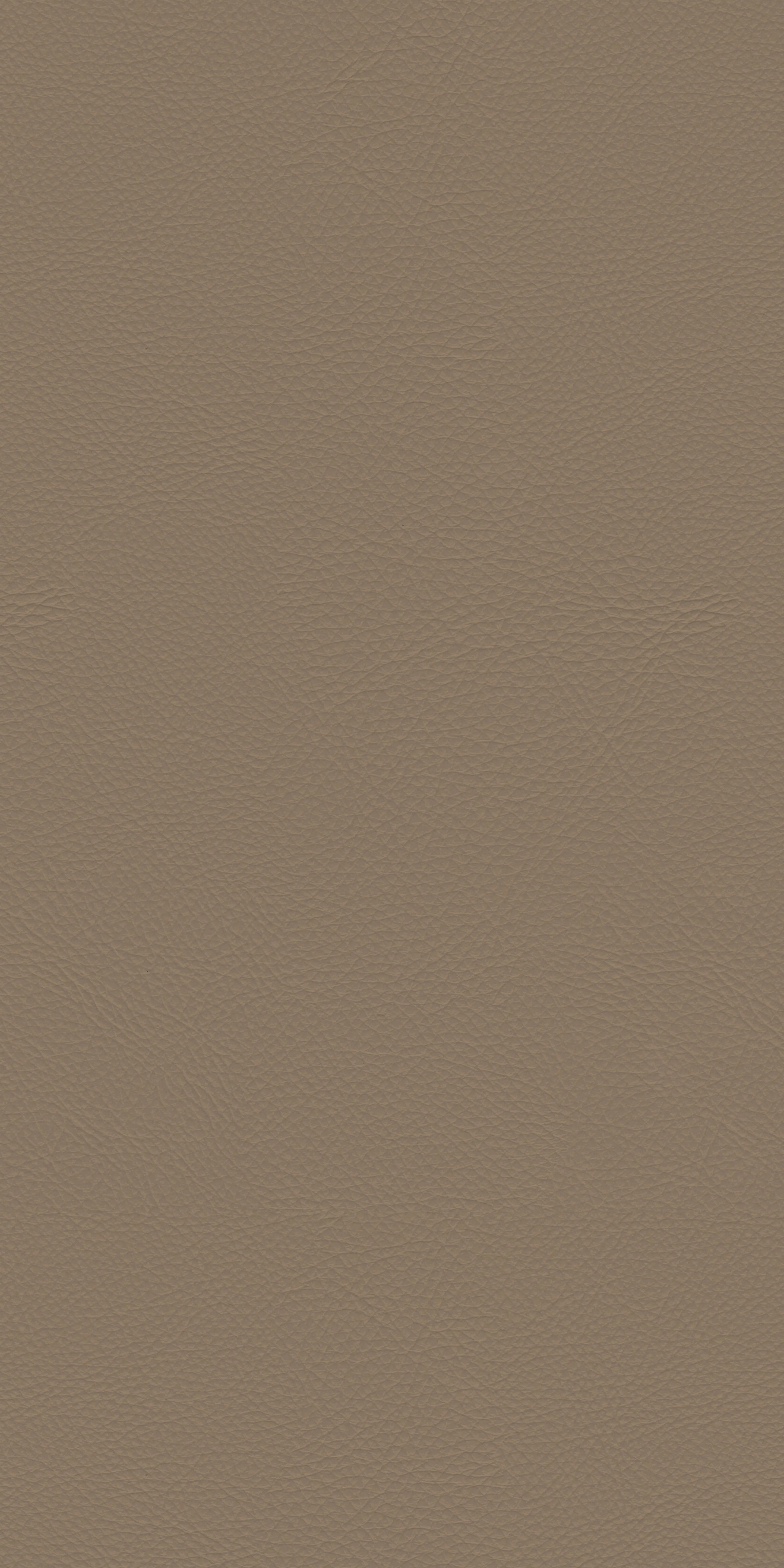 131-2-Genova-41-Vinyl