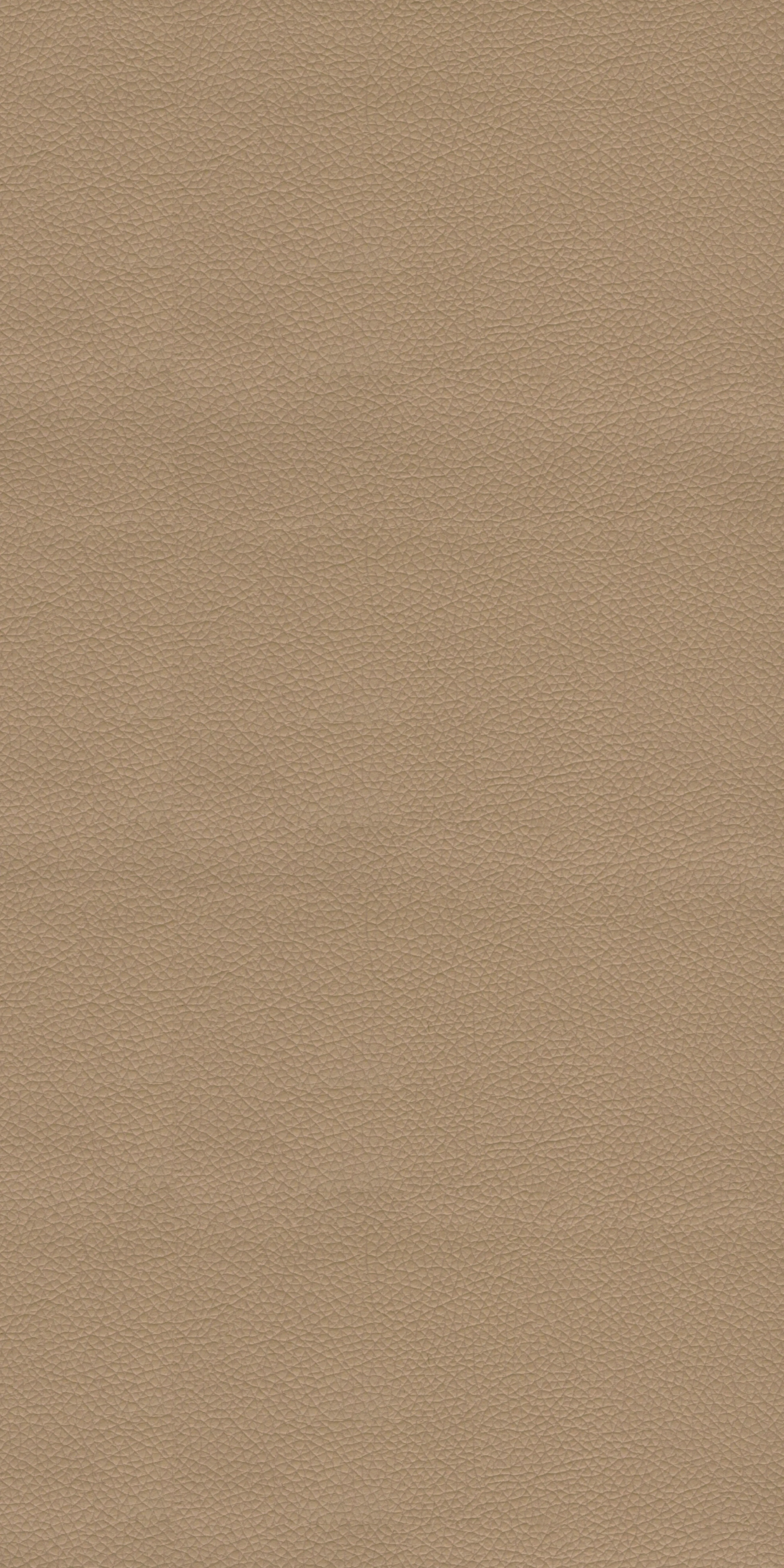 131-4-Umass-08-Vinyl