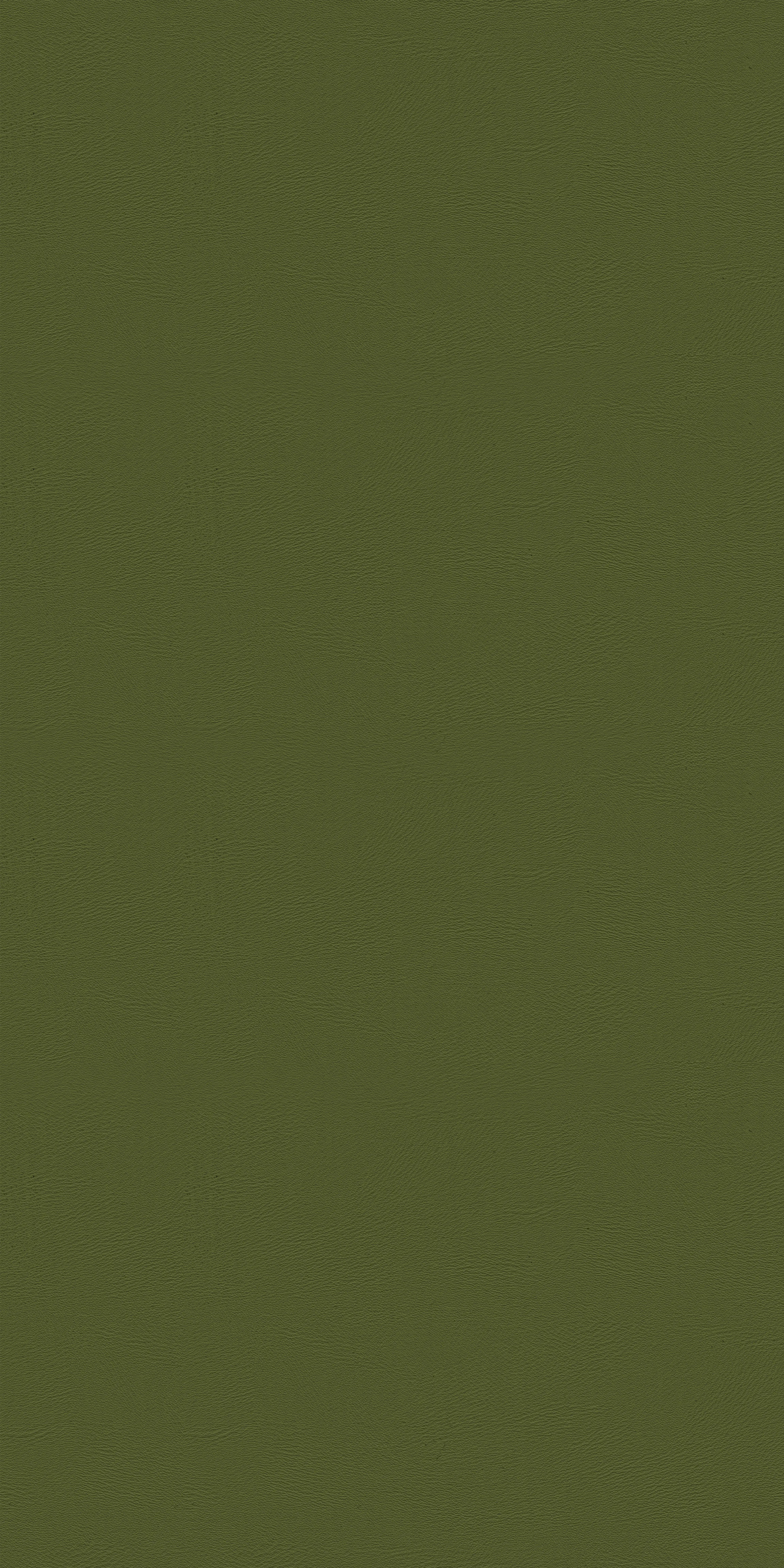 133-3-Massach-49-Vinyl