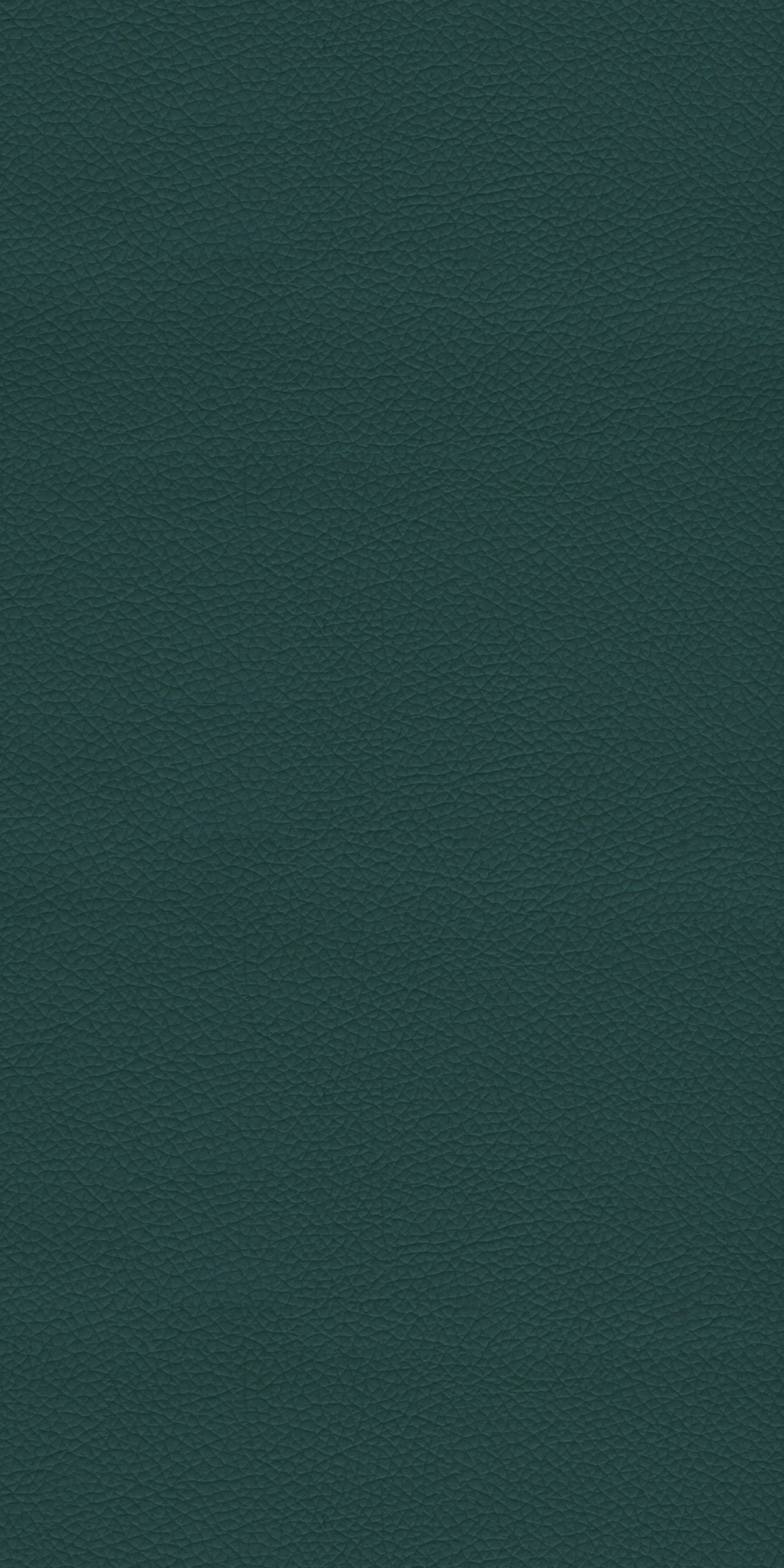 136-4-Umass-26-Vinyl