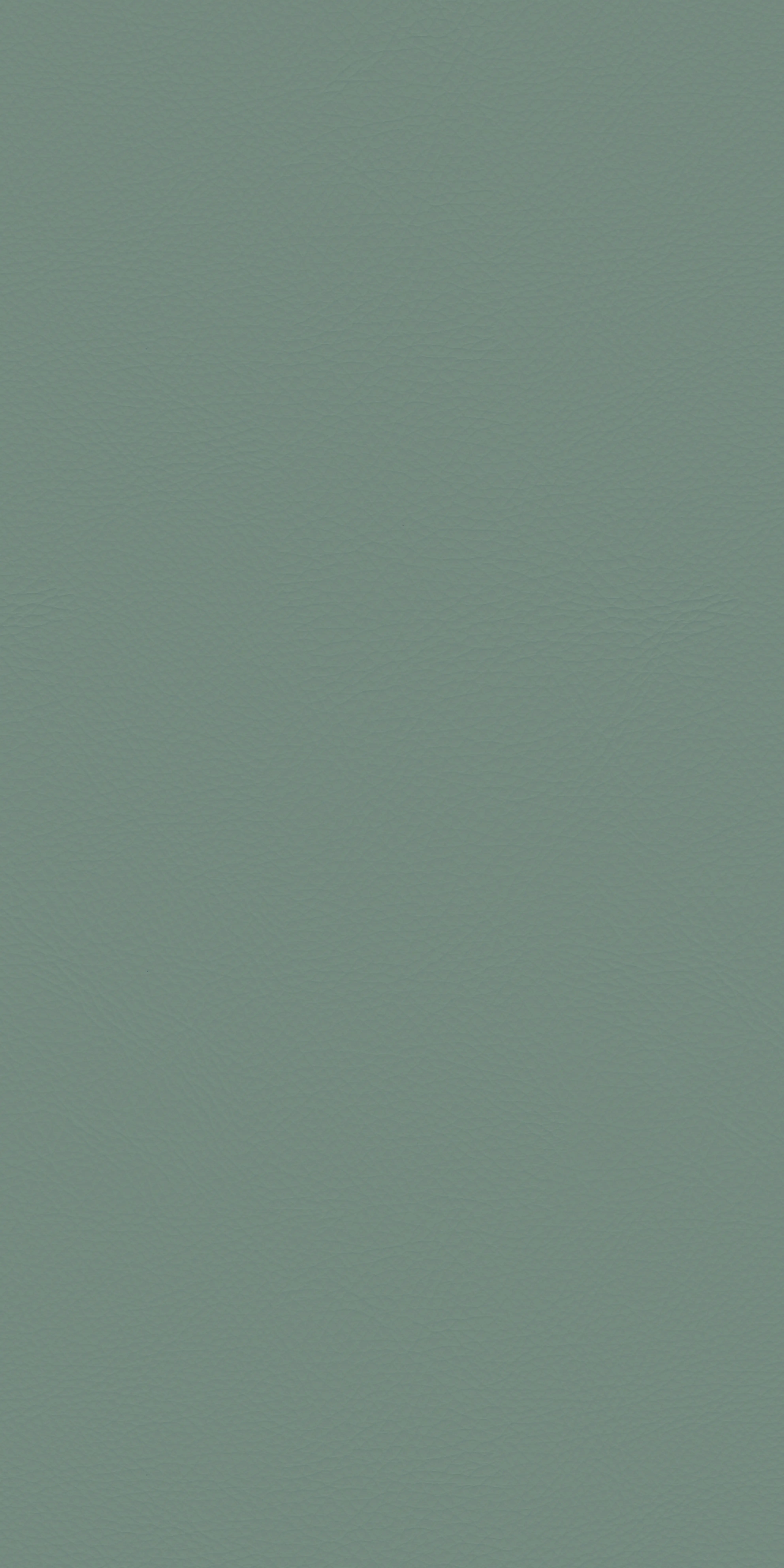 140-2-Genova-05-Vinyl