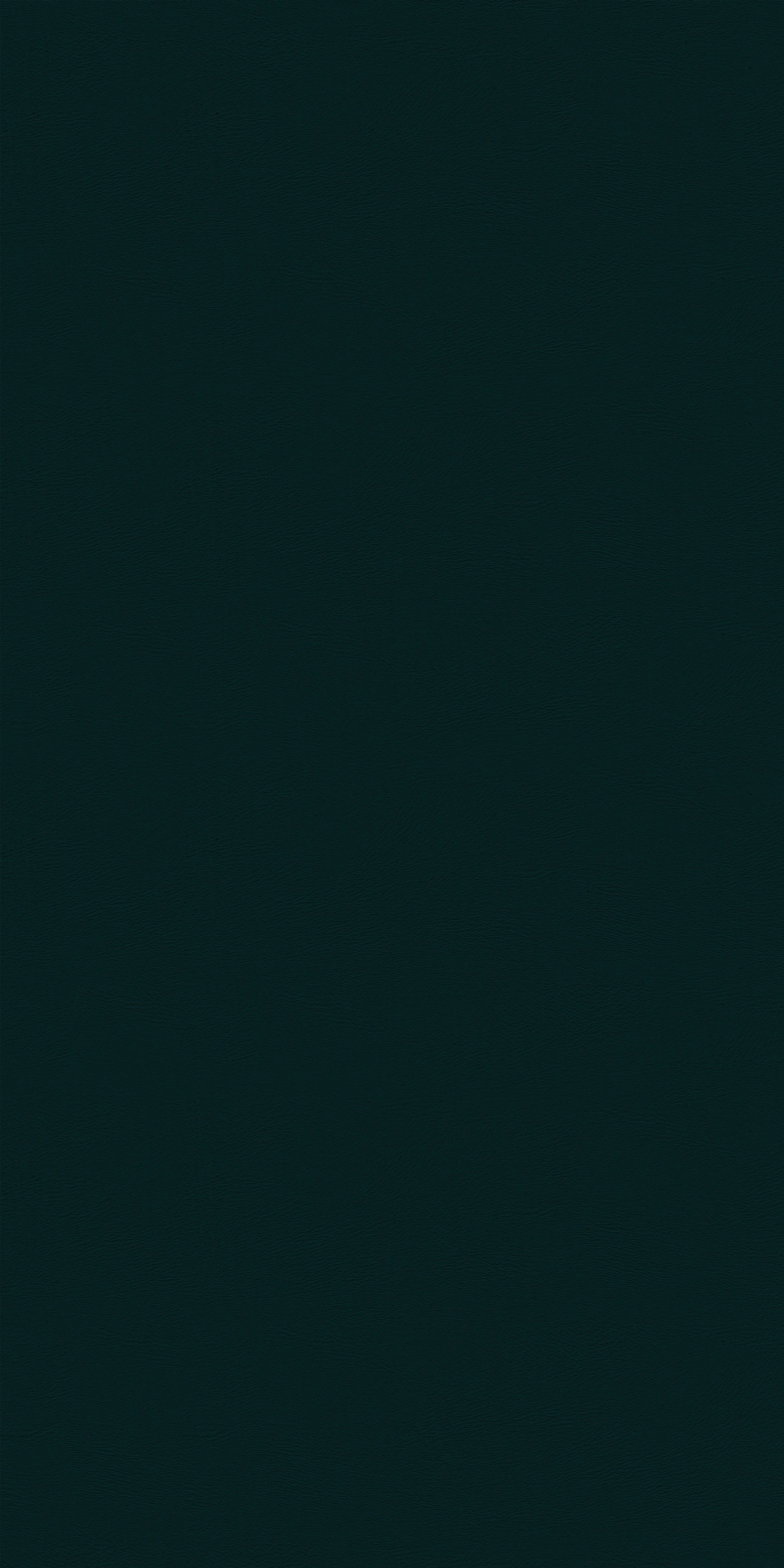 142-3-Massach-71-Vinyl