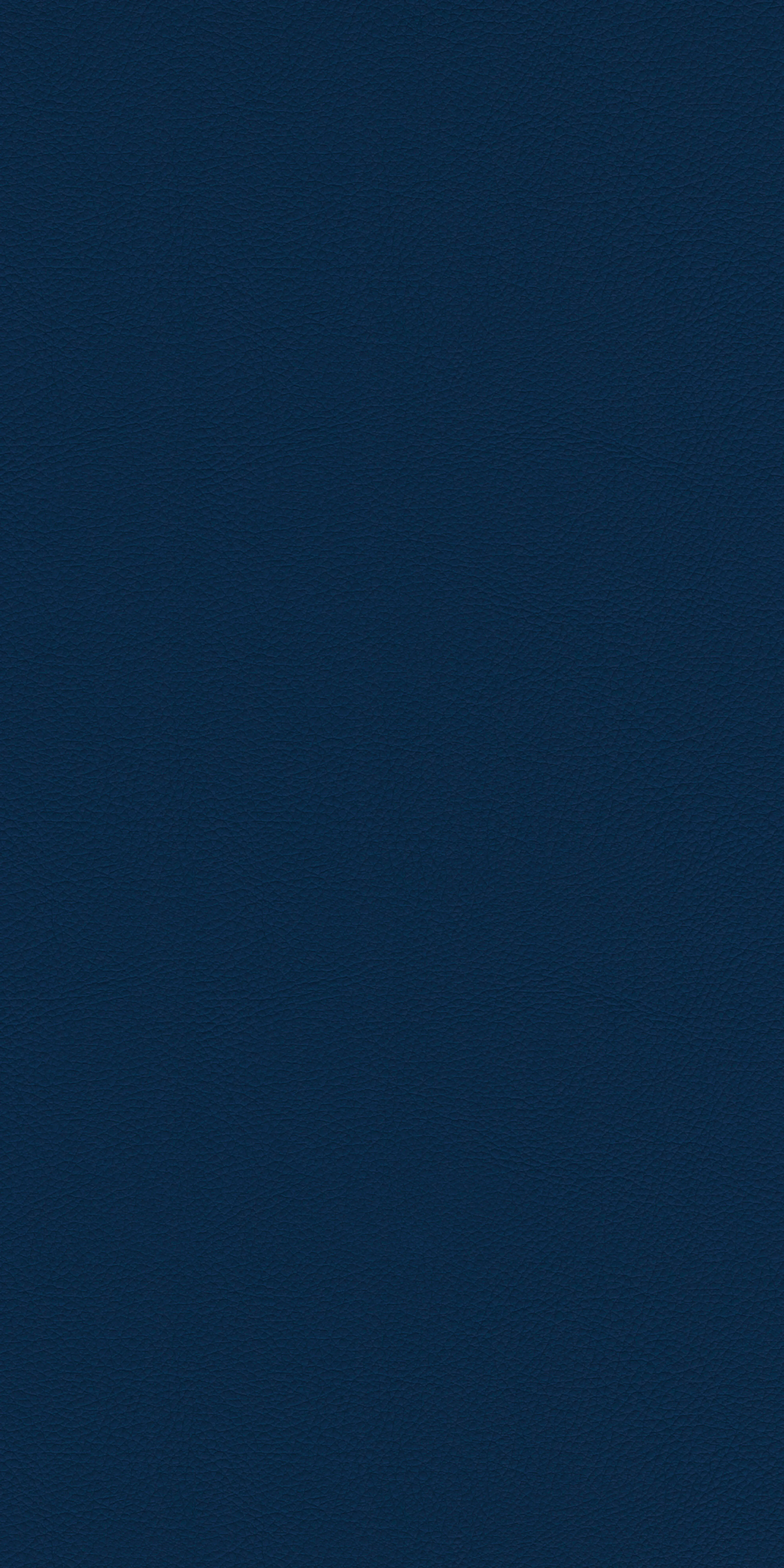 144-2-Harvard-35-Vinyl