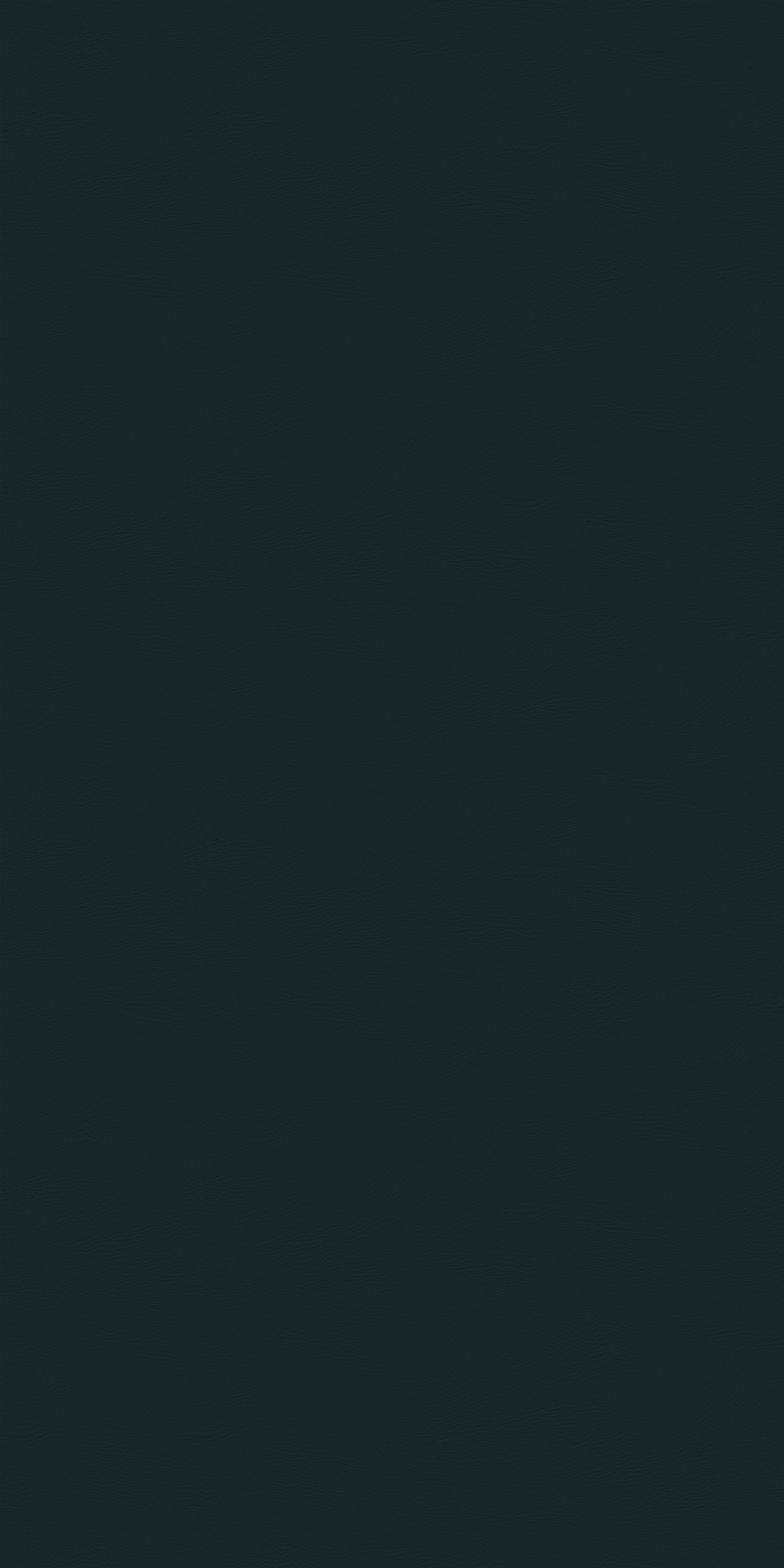 145-2-Massach-79-Vinyl