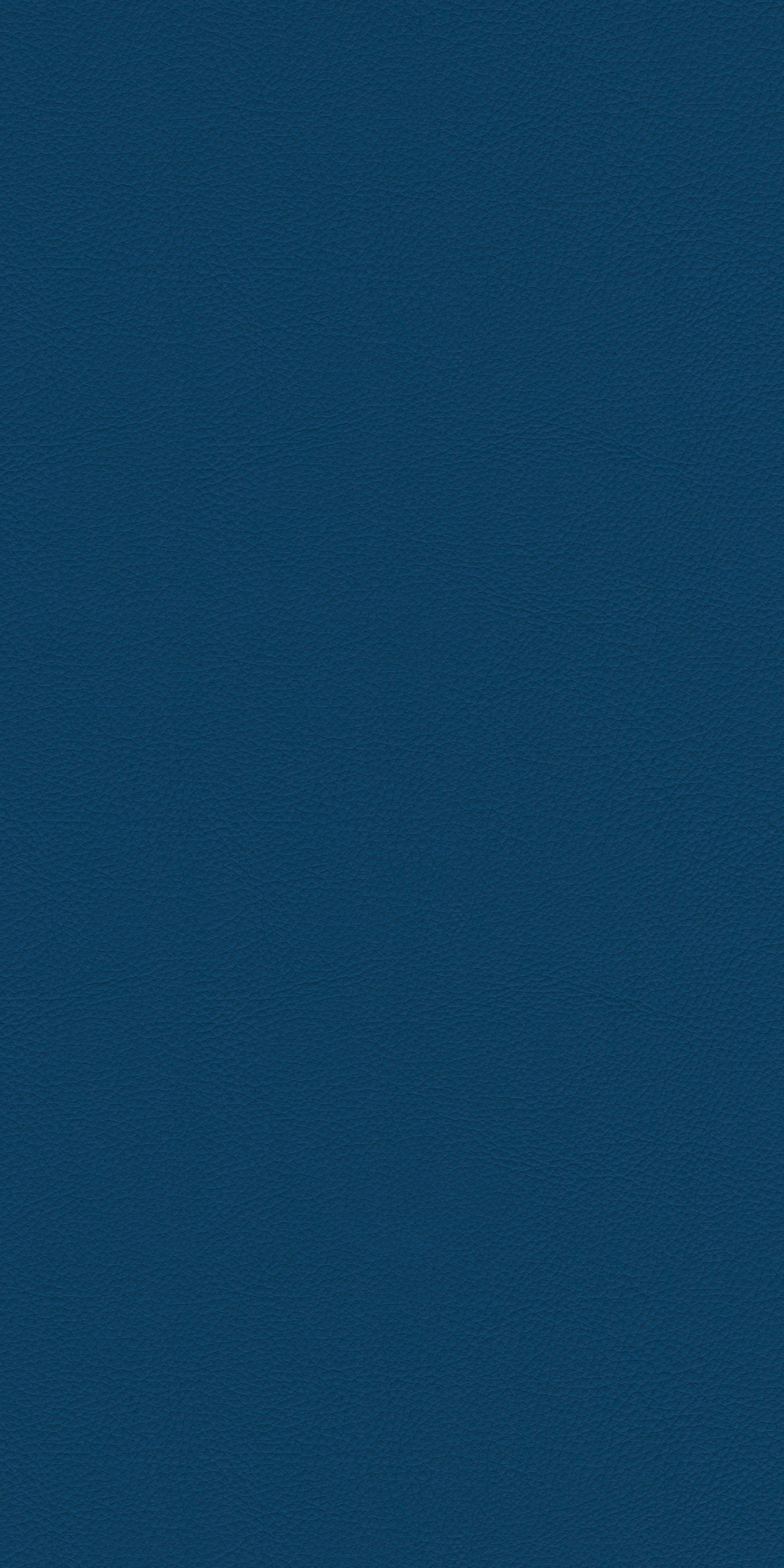 145-4-Harvard-34-Vinyl