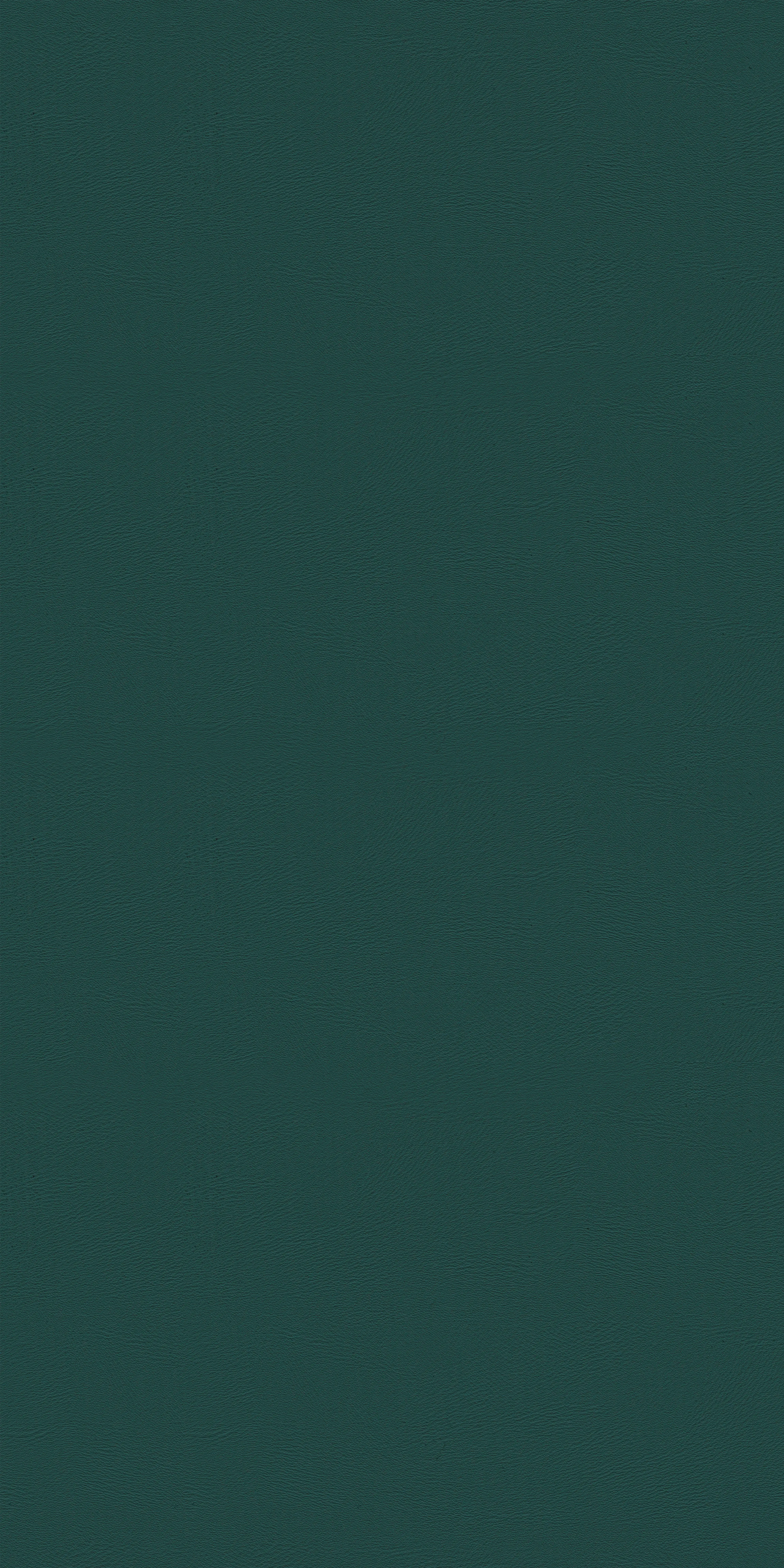 147-2-Massach-80-Vinyl