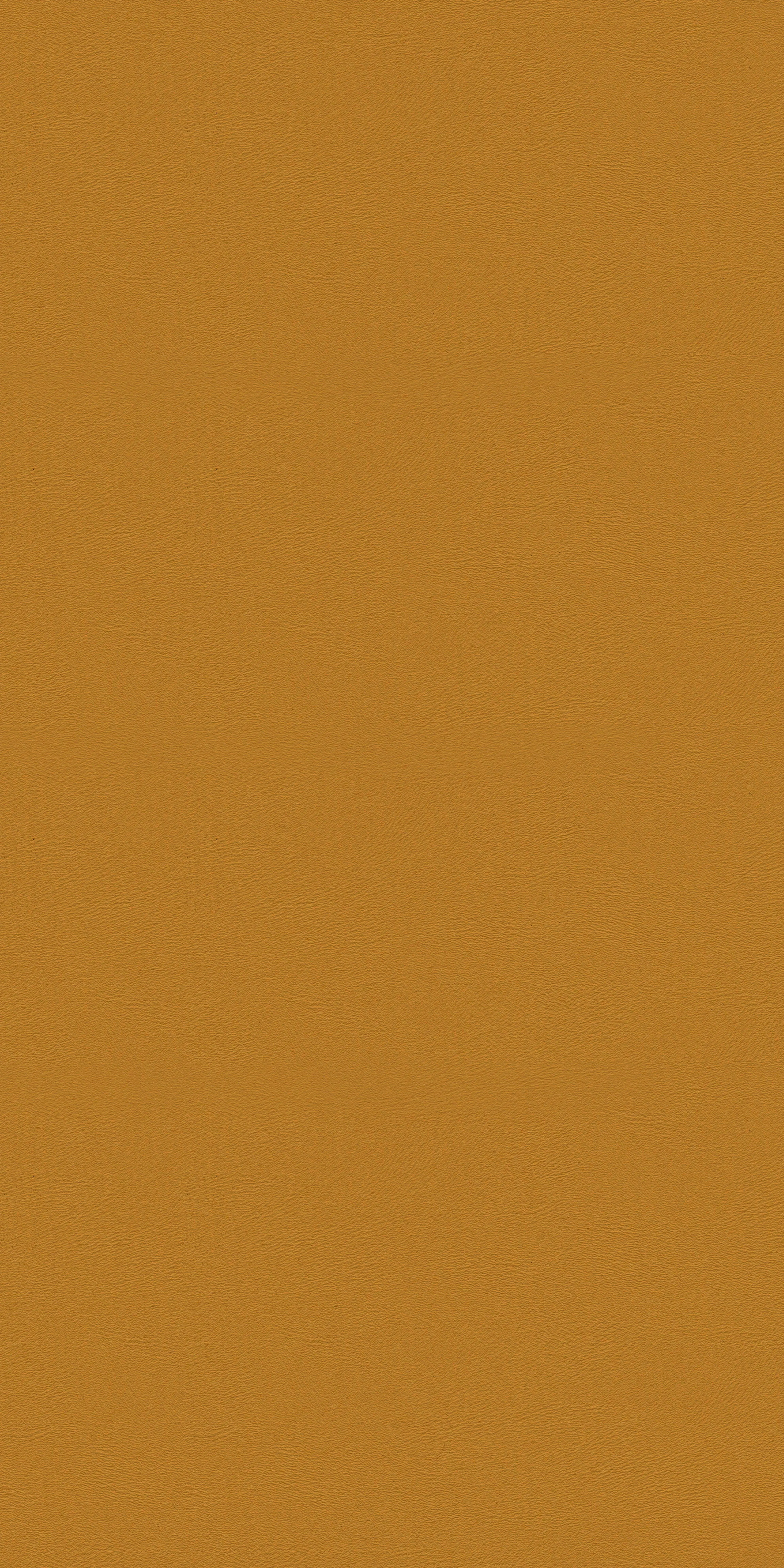 150-2-Massach-42-Vinyl