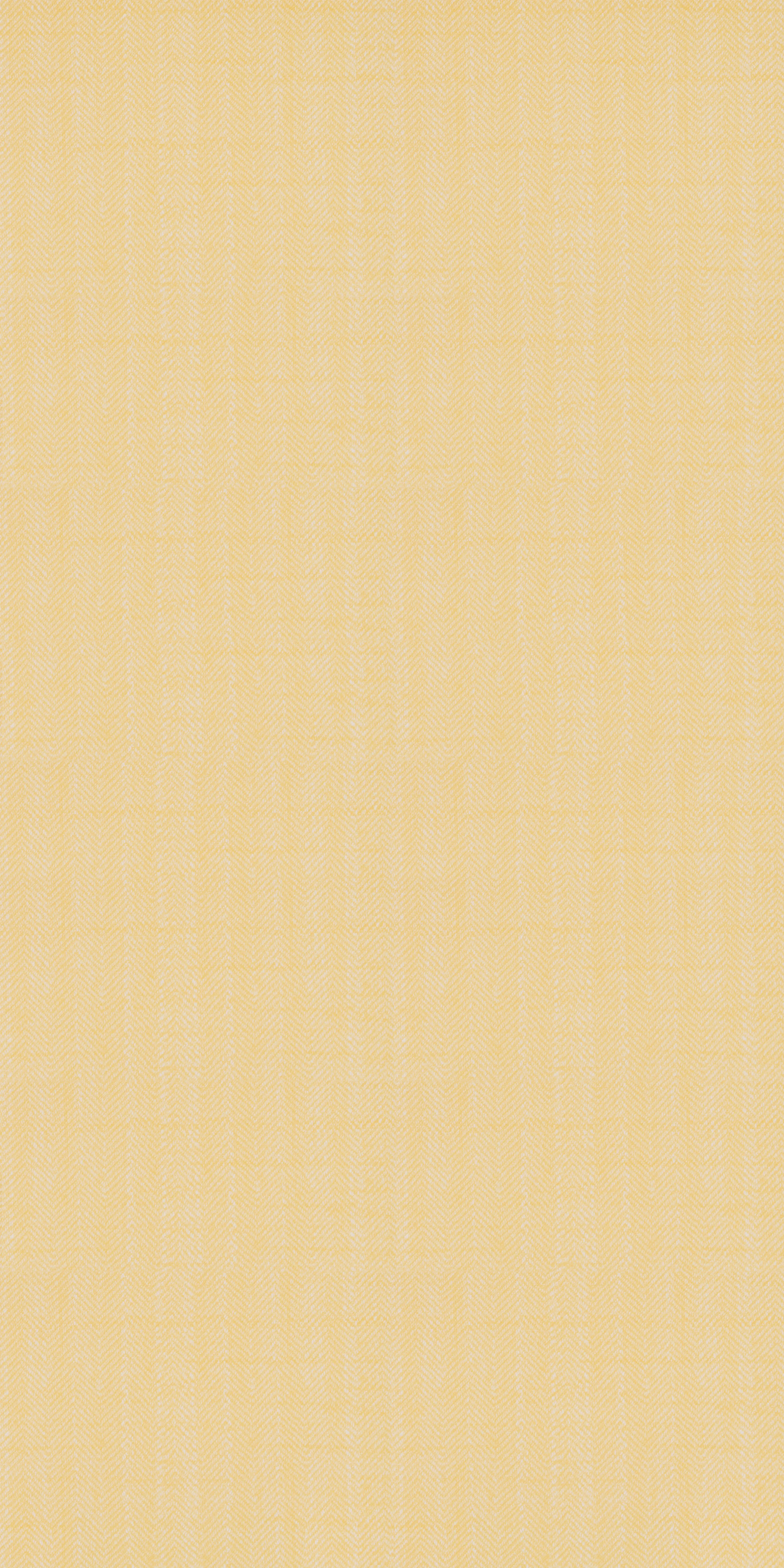 150-3-Amazon-08-Vinyl