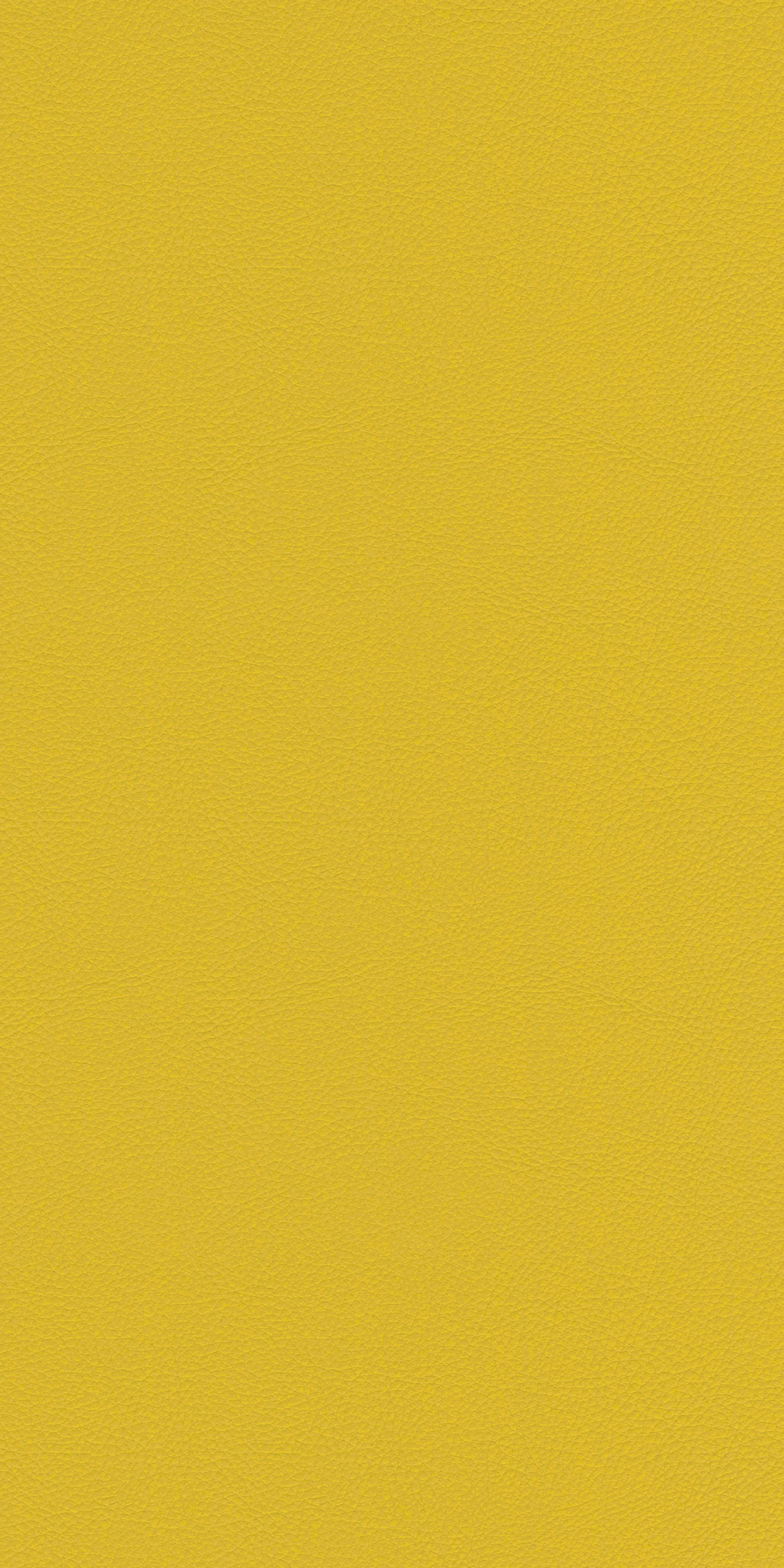 150-4-Harvard-22-Vinyl