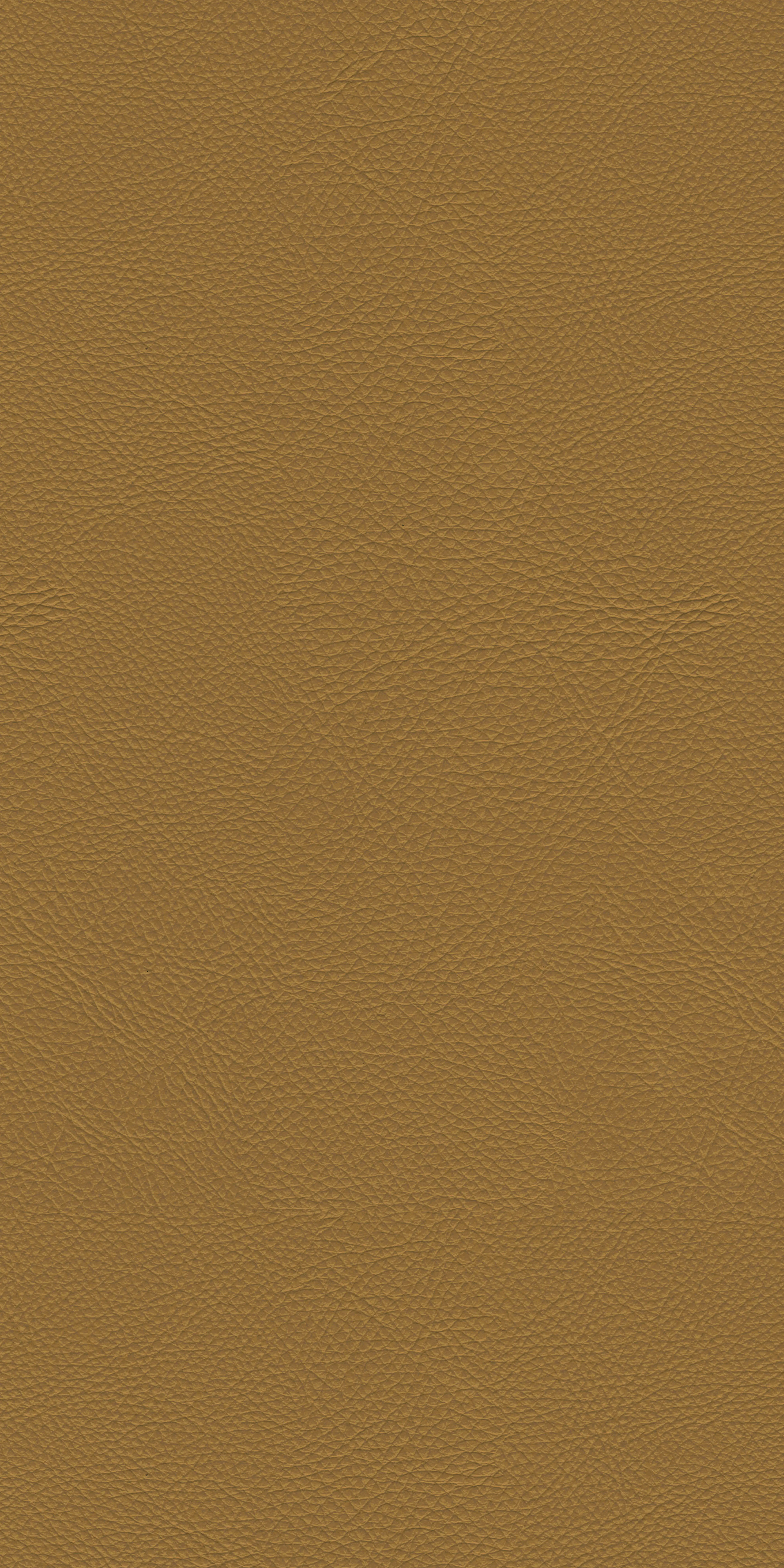 151-5-Genova-33-Vinyl