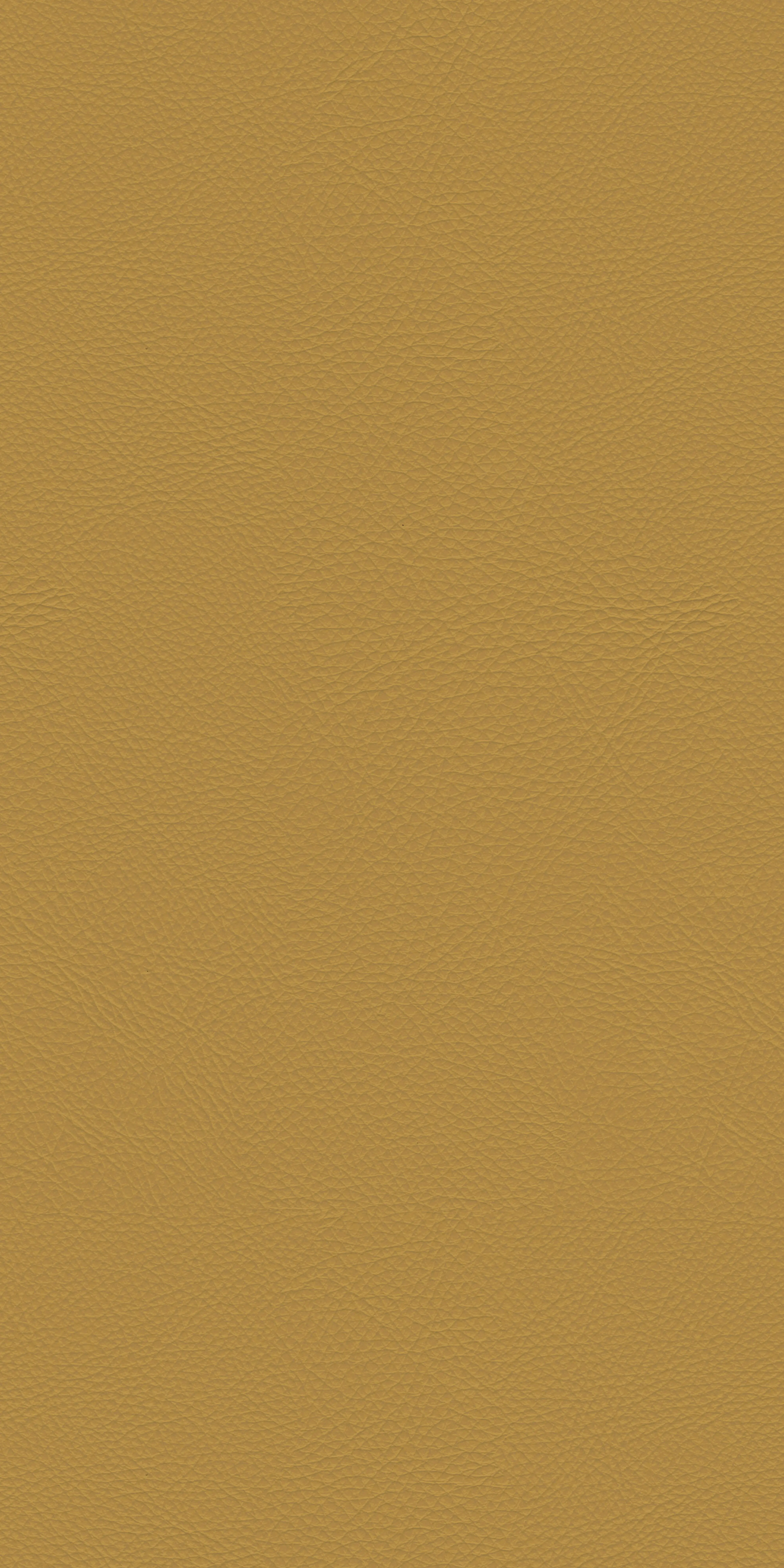 152-1-Genova-31-Vinyl