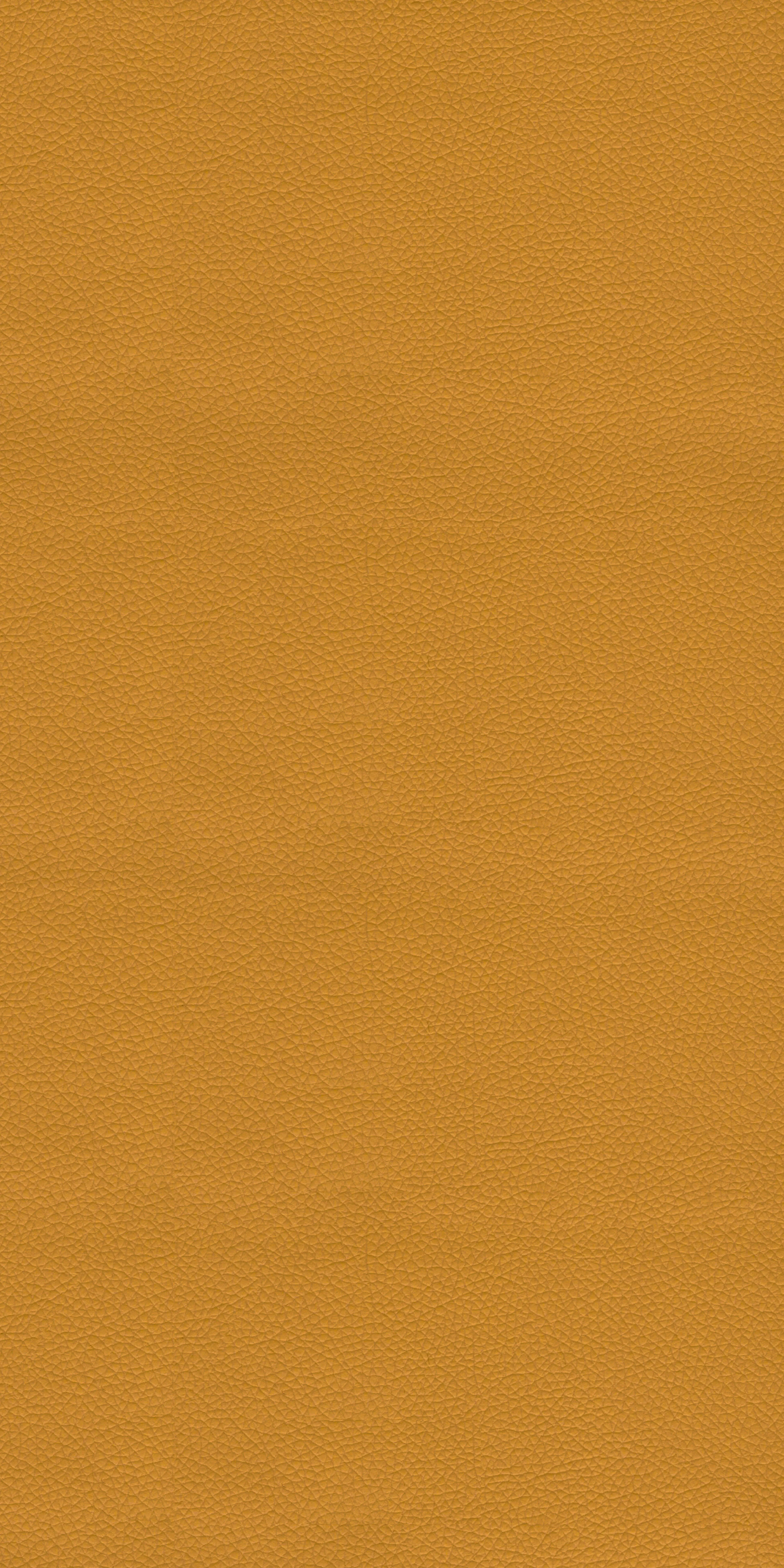 152-3-Umass-16-Vinyl