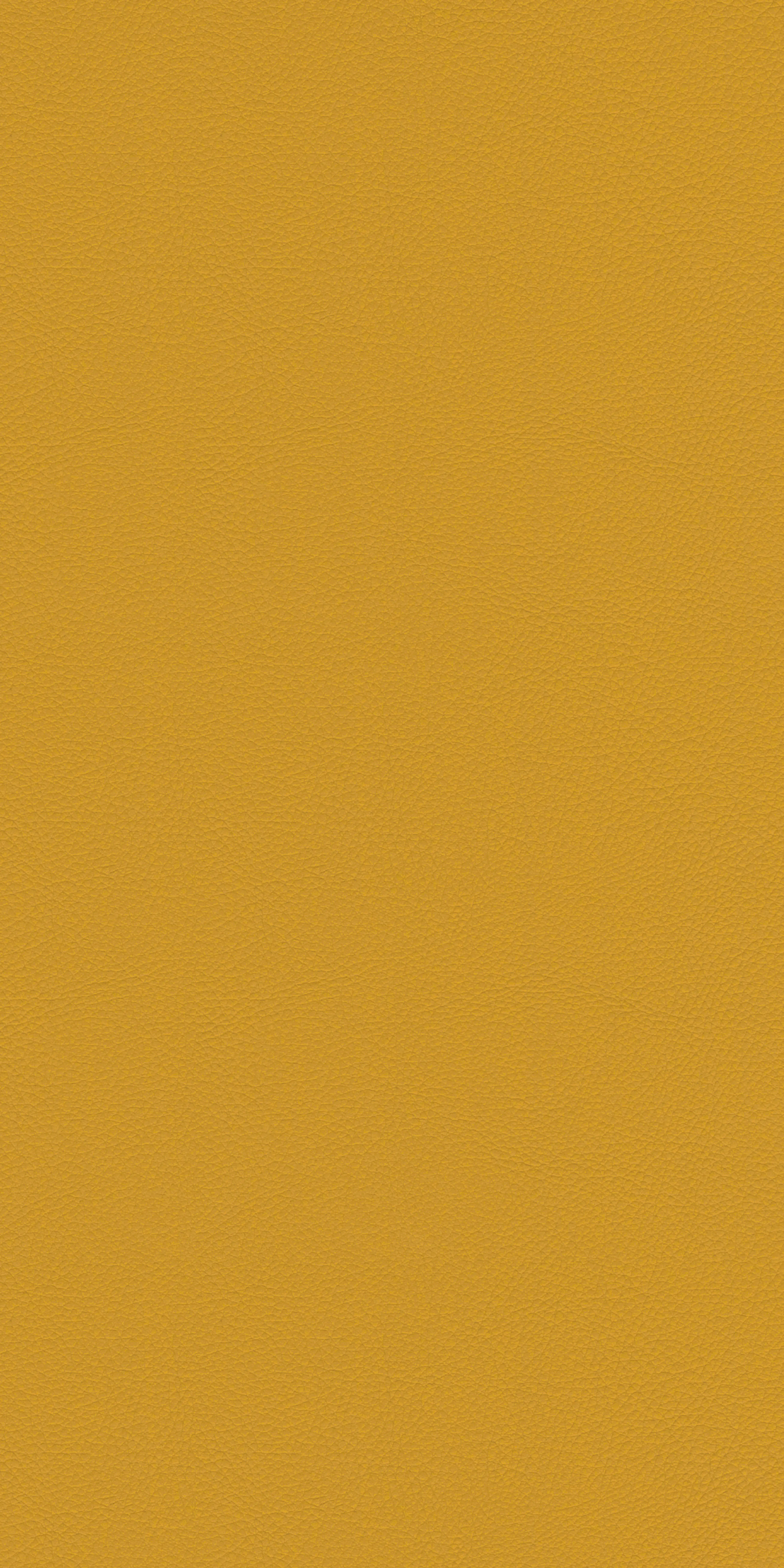 152-4-Harvard-21-Vinyl