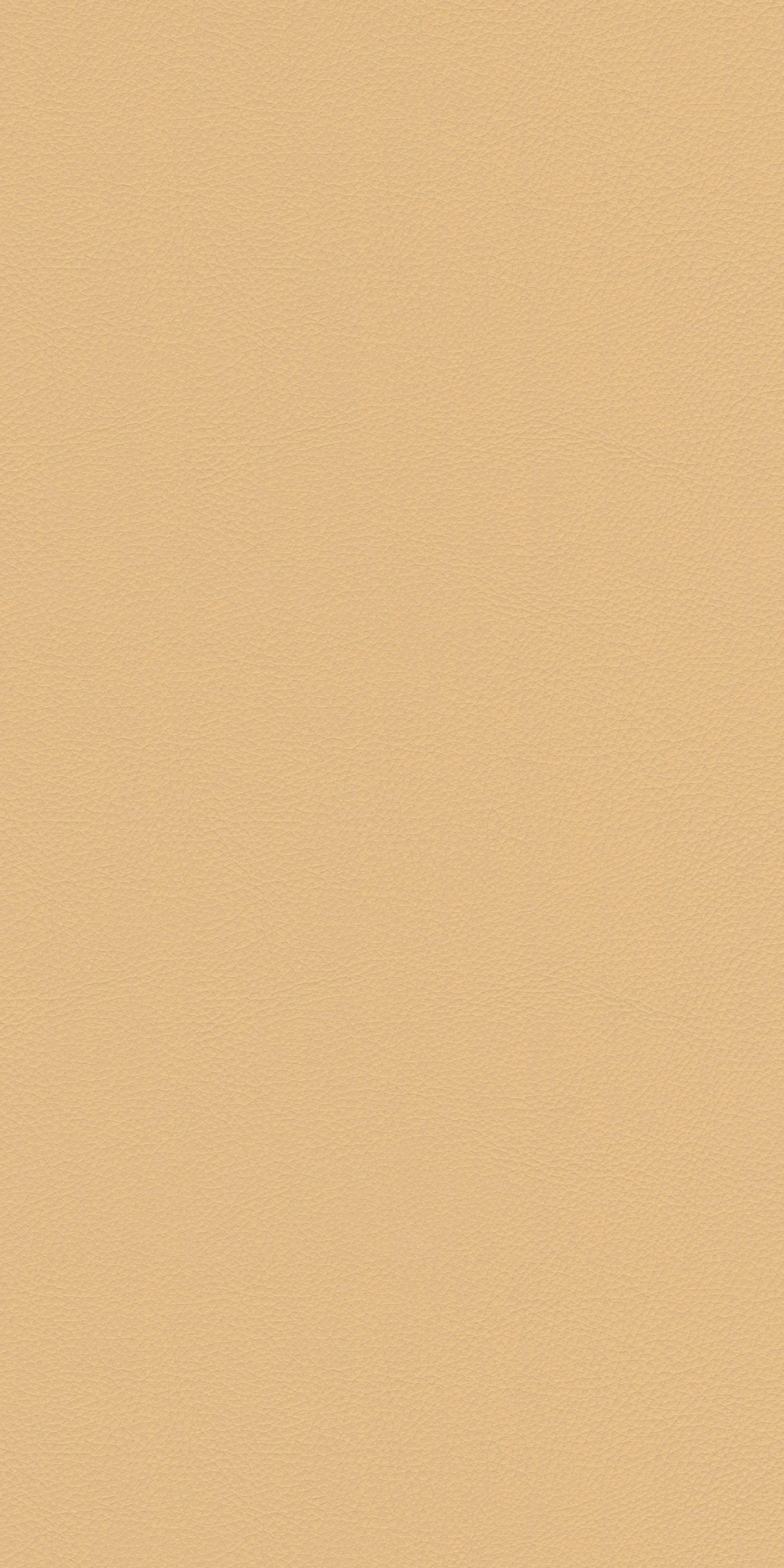 153-5-Harvard-19-Vinyl