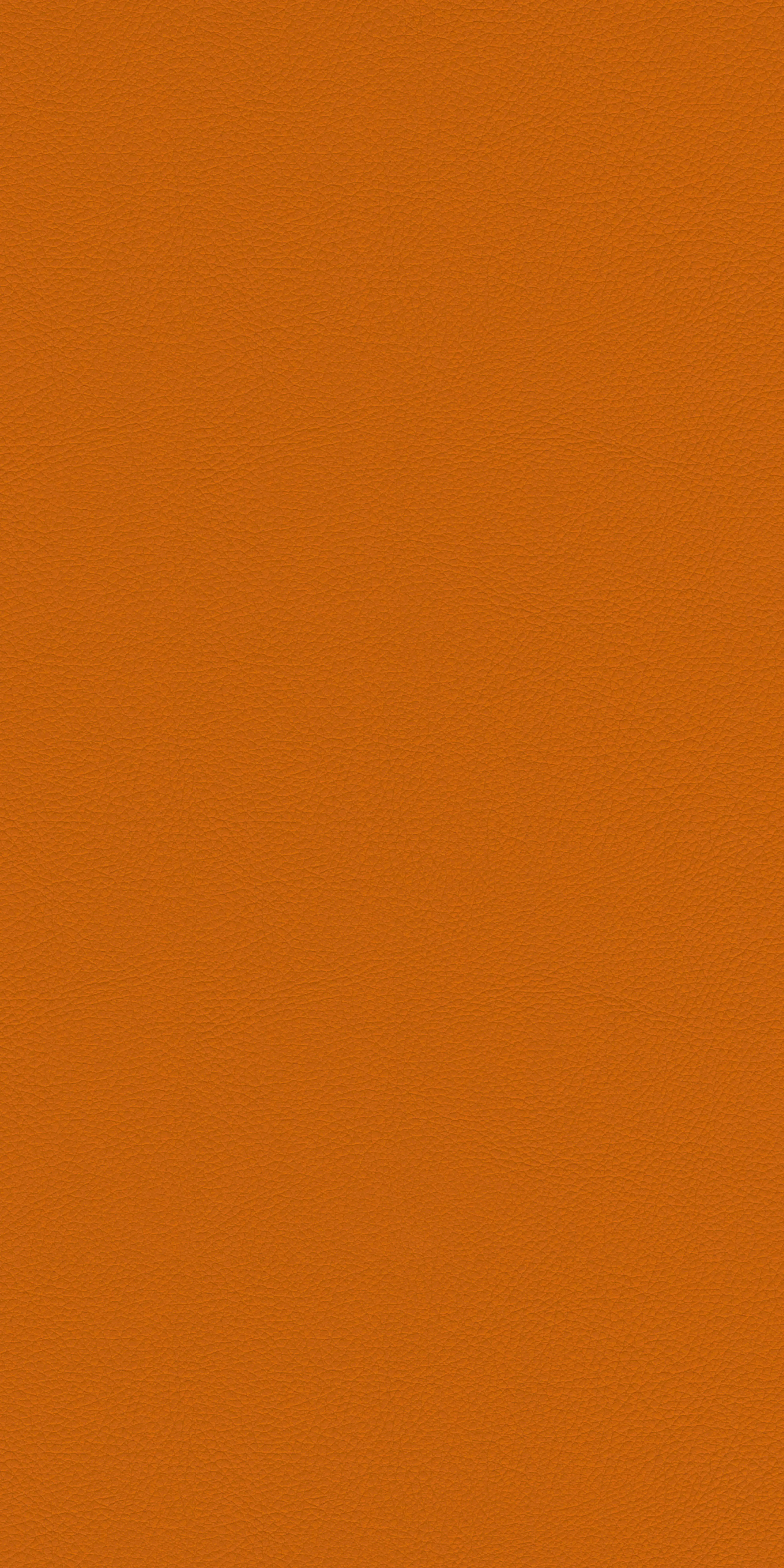 154-1-Harvard-23-Vinyl