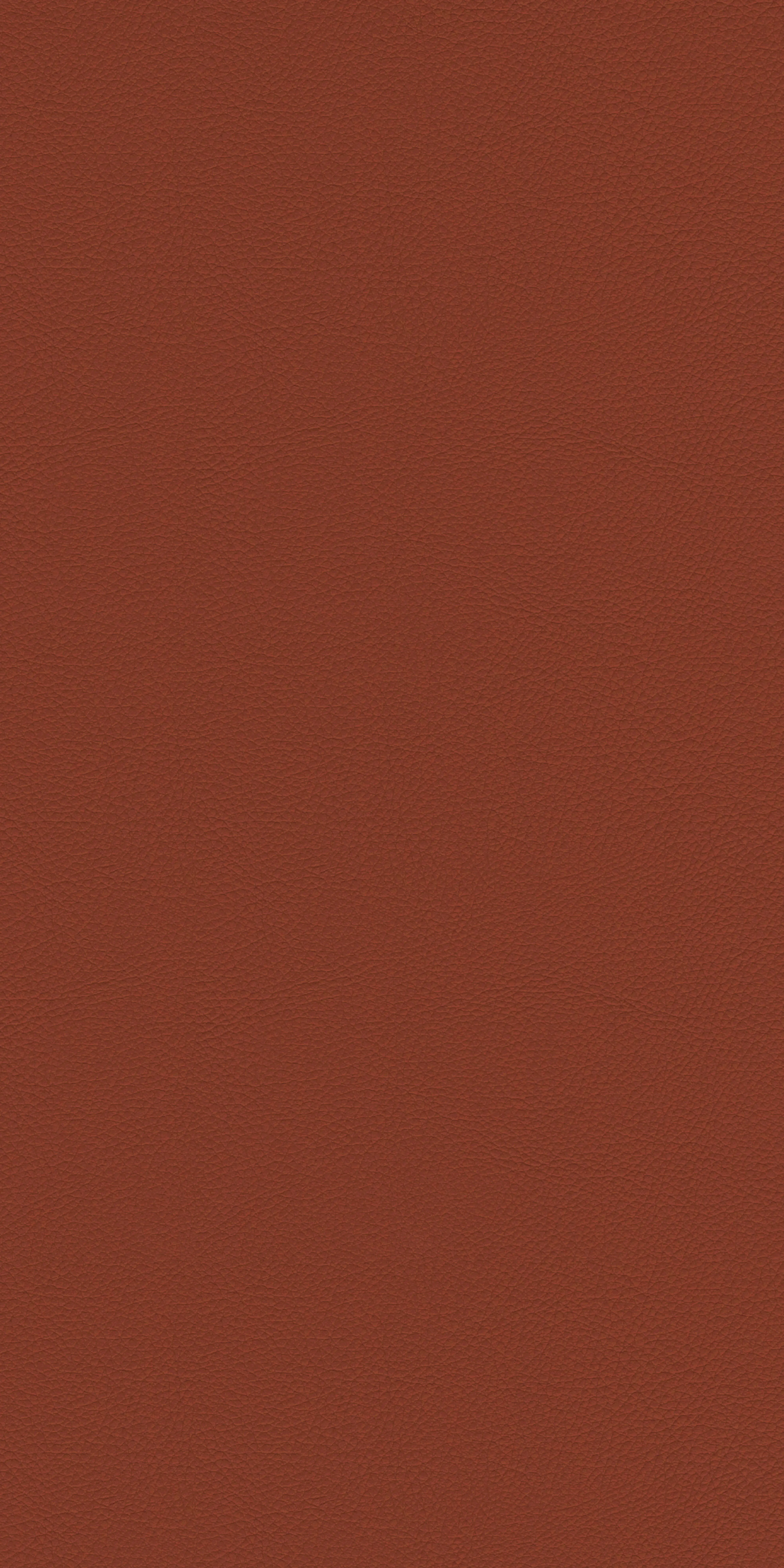 155-5-Harvard-25-Vinyl