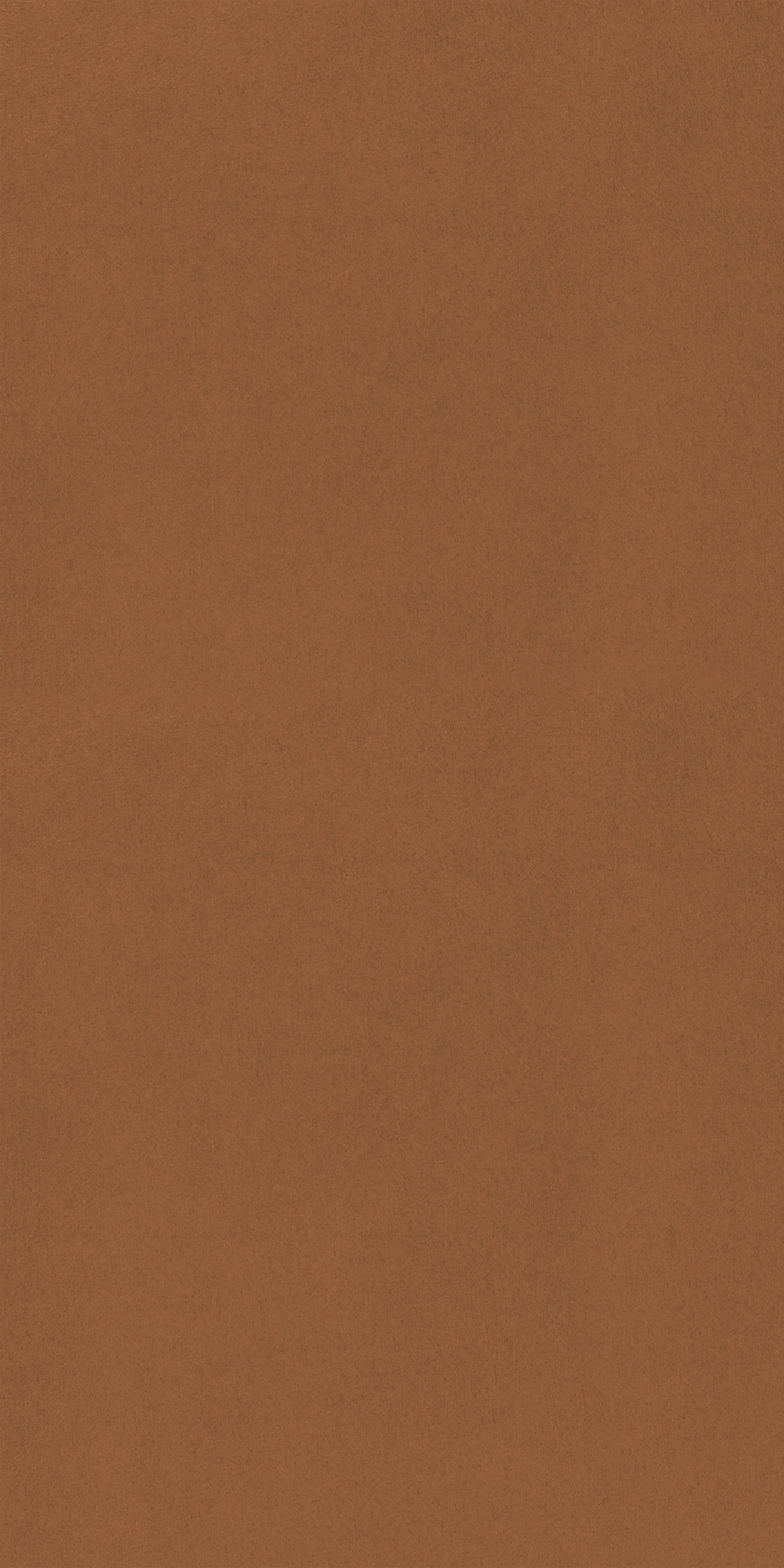 303-1-Alcanta-0119-Velvet