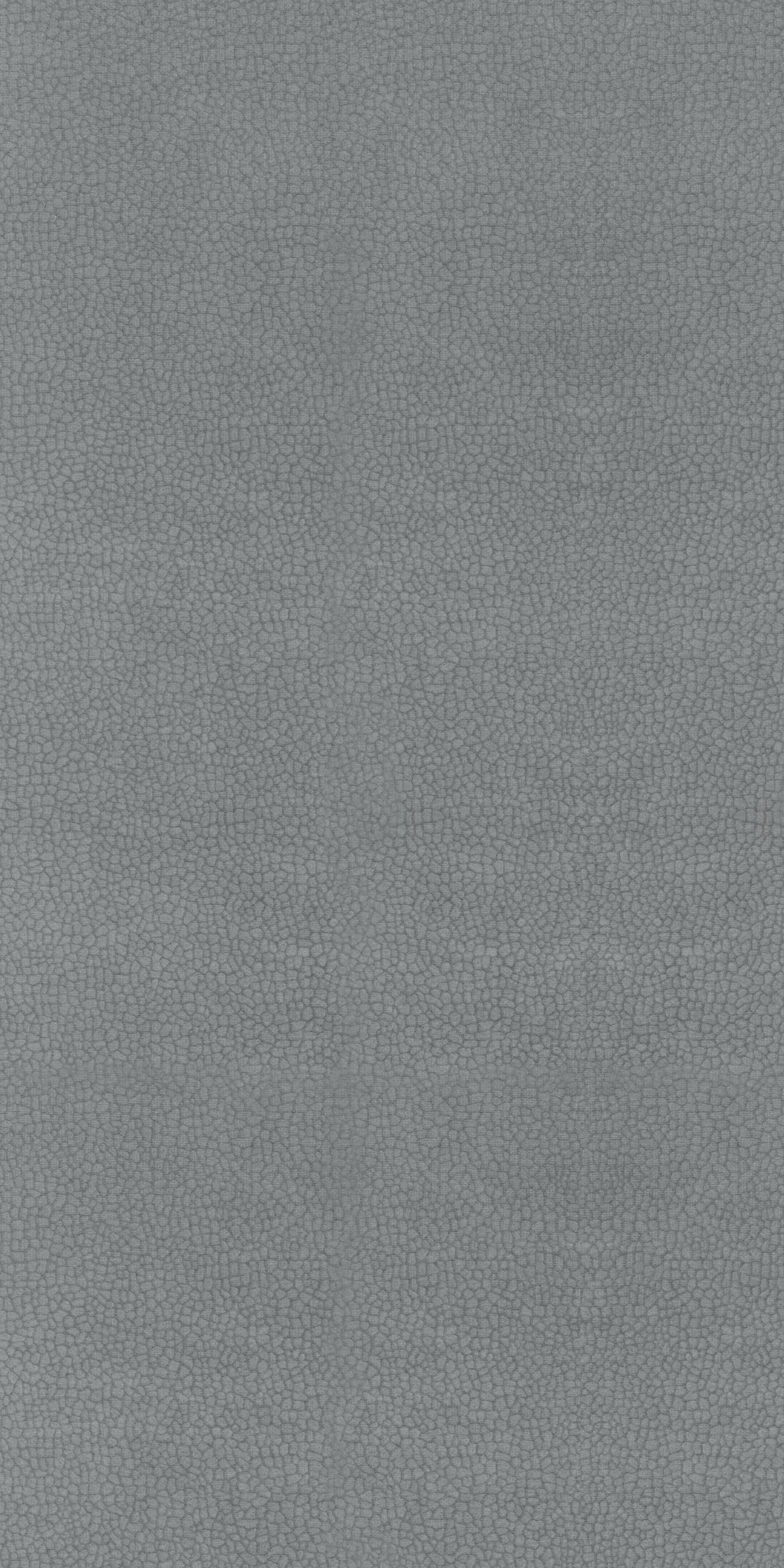 307-4-Carabu-77-Velvet