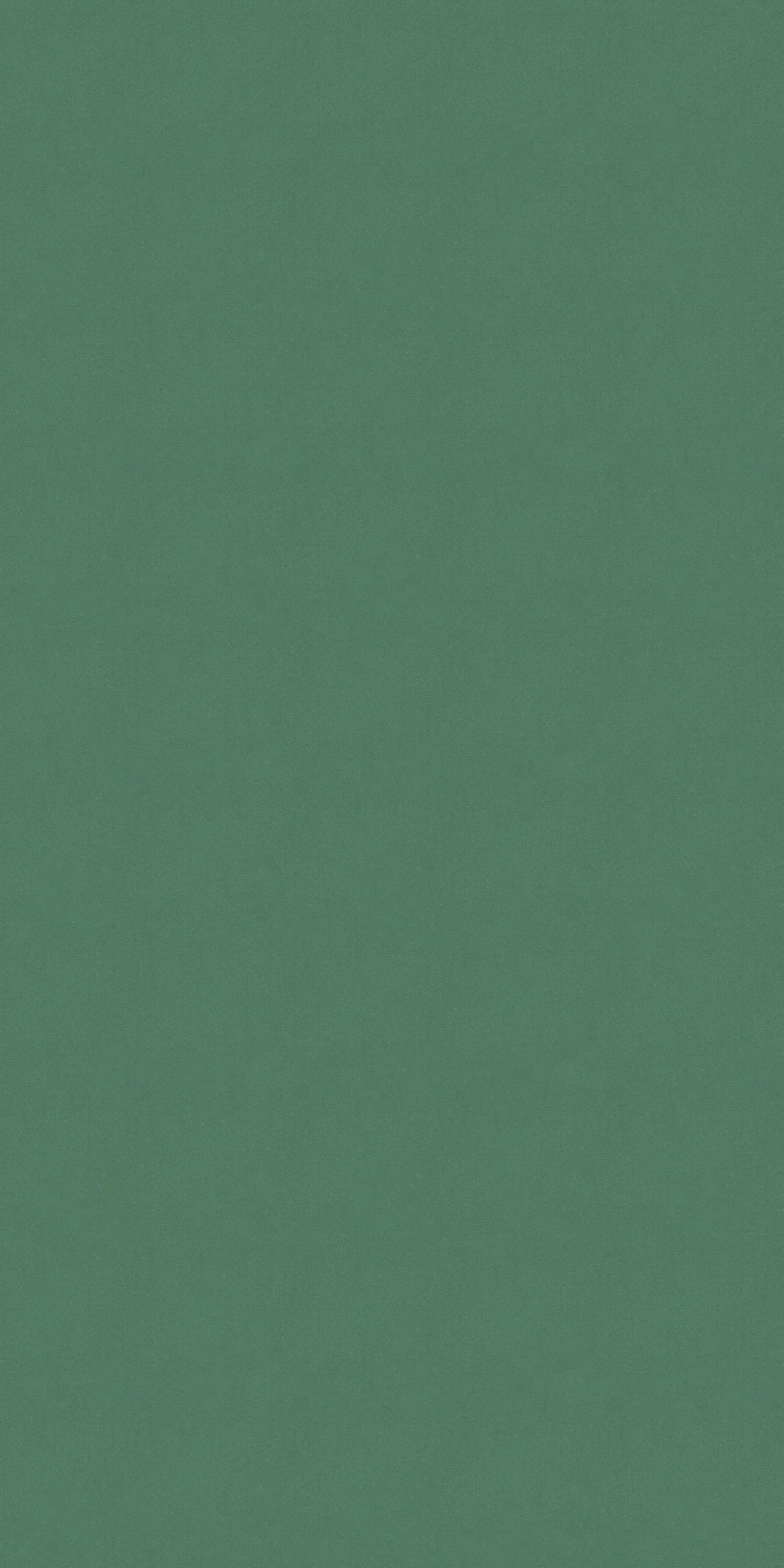 311-1-Orient-21-Velvet