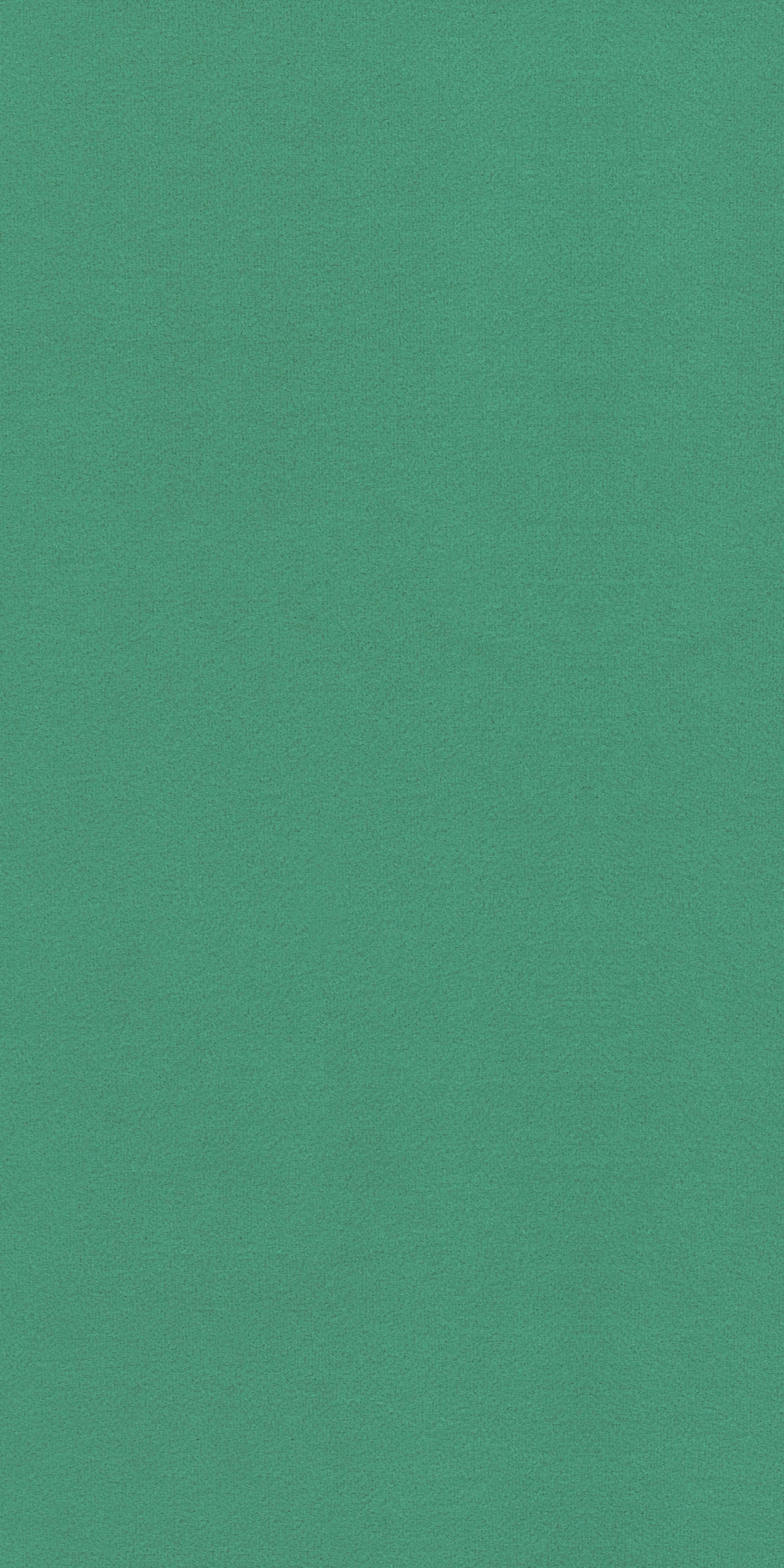 311-2-Saloni-26-Velvet