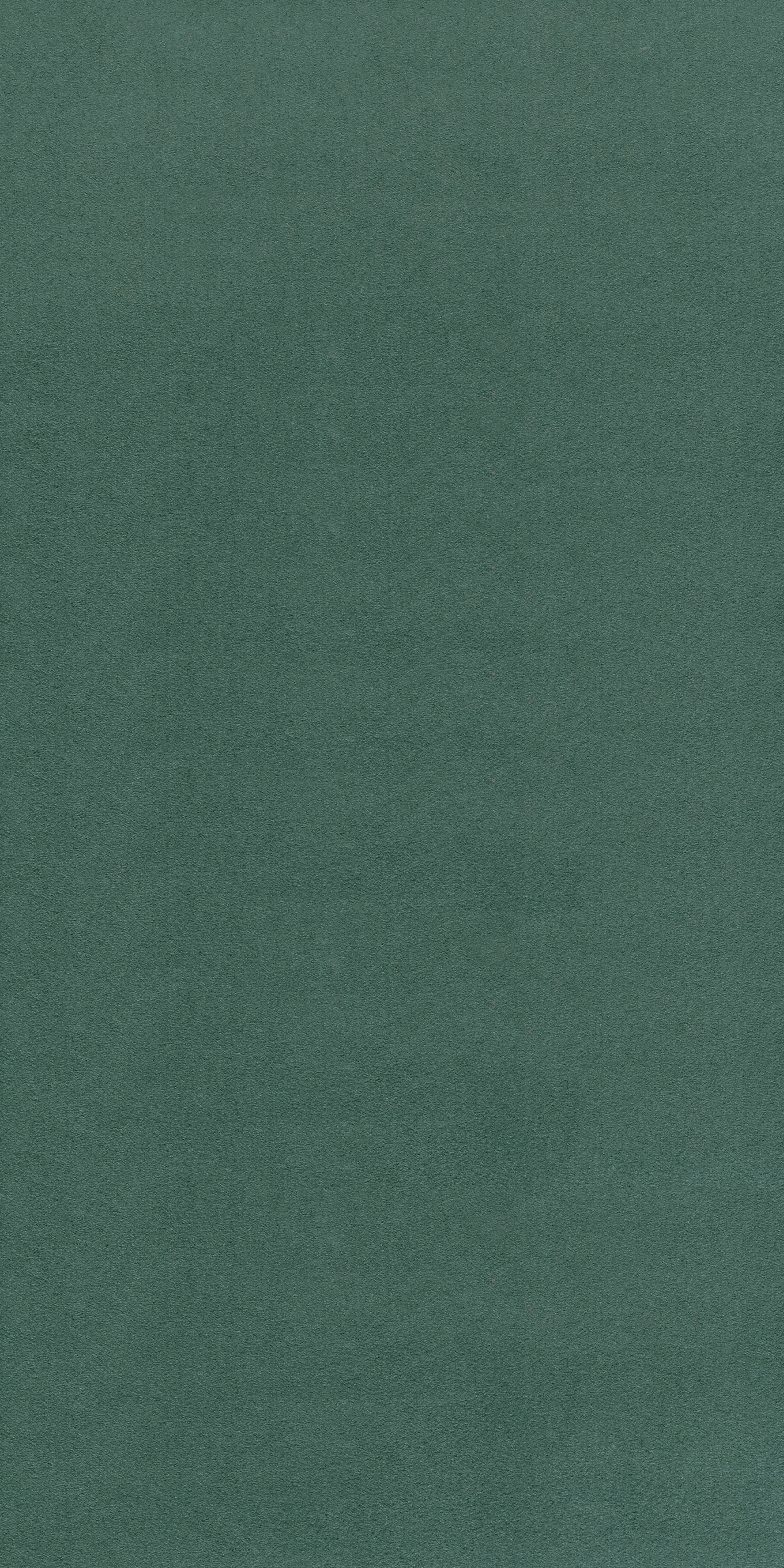 315-4-Alcanta-0169-Velvet