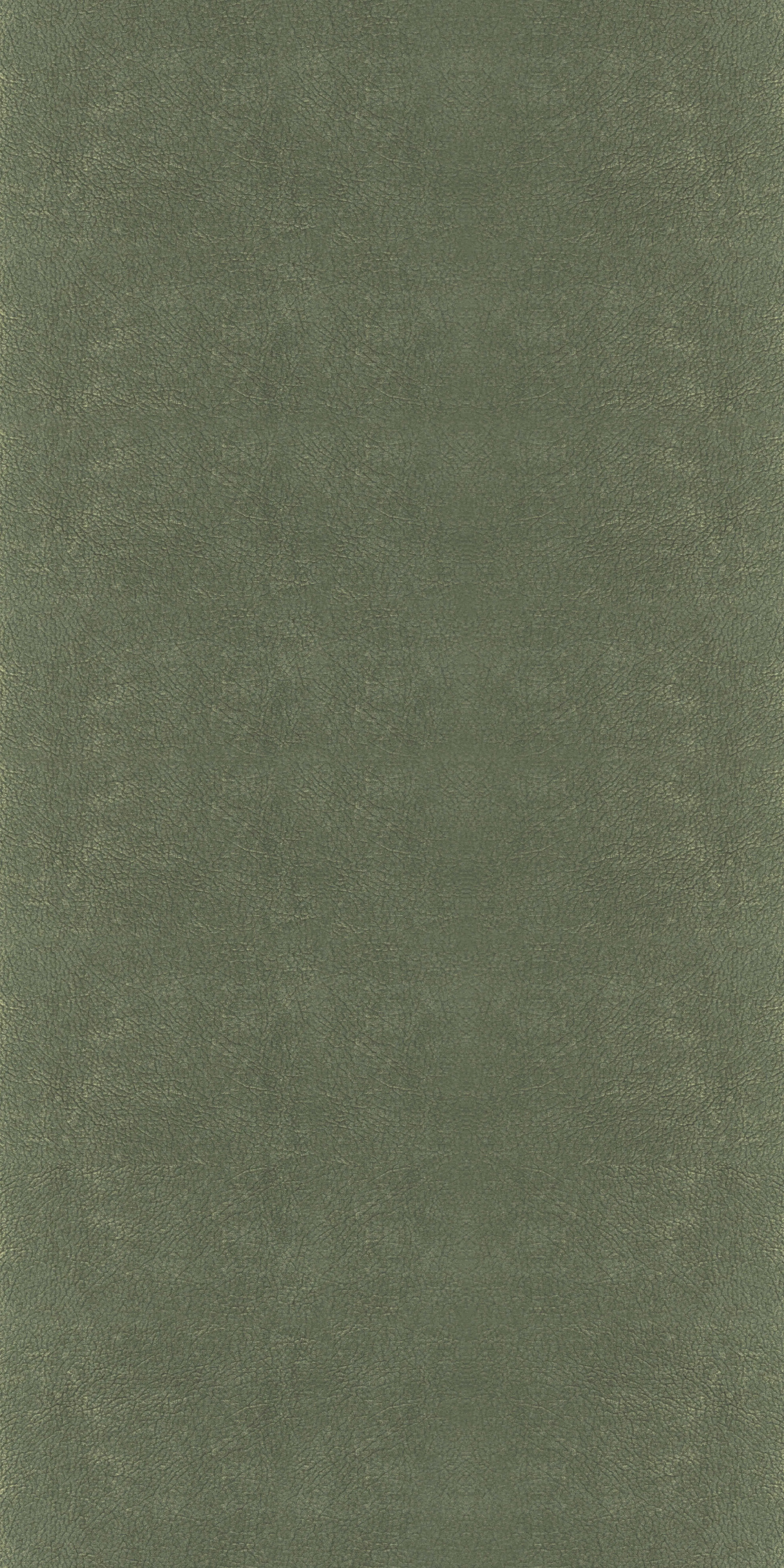 316-2-Cleanick-511111-Velvet