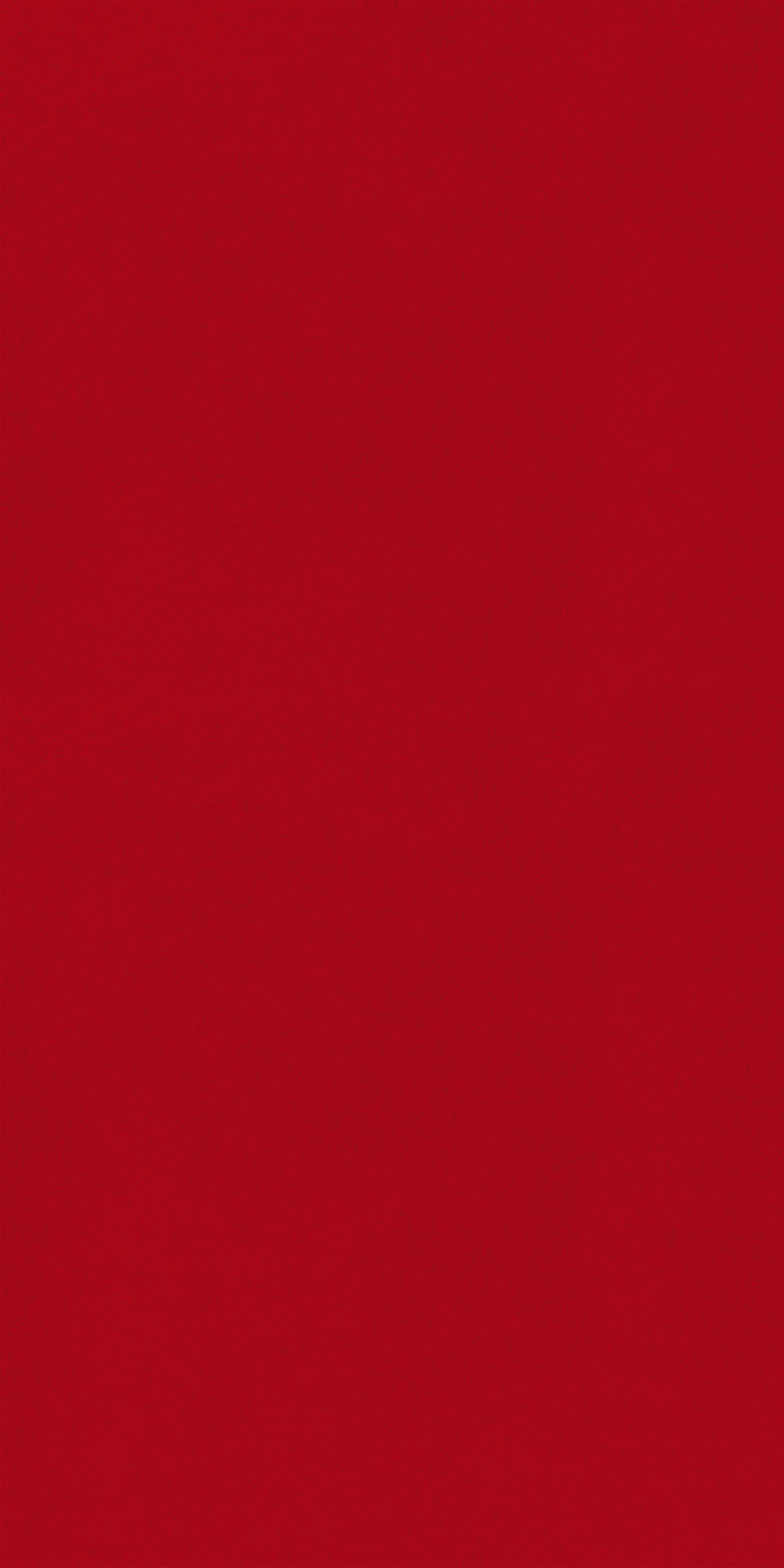 319-1-Alcanta-0130-Velvet