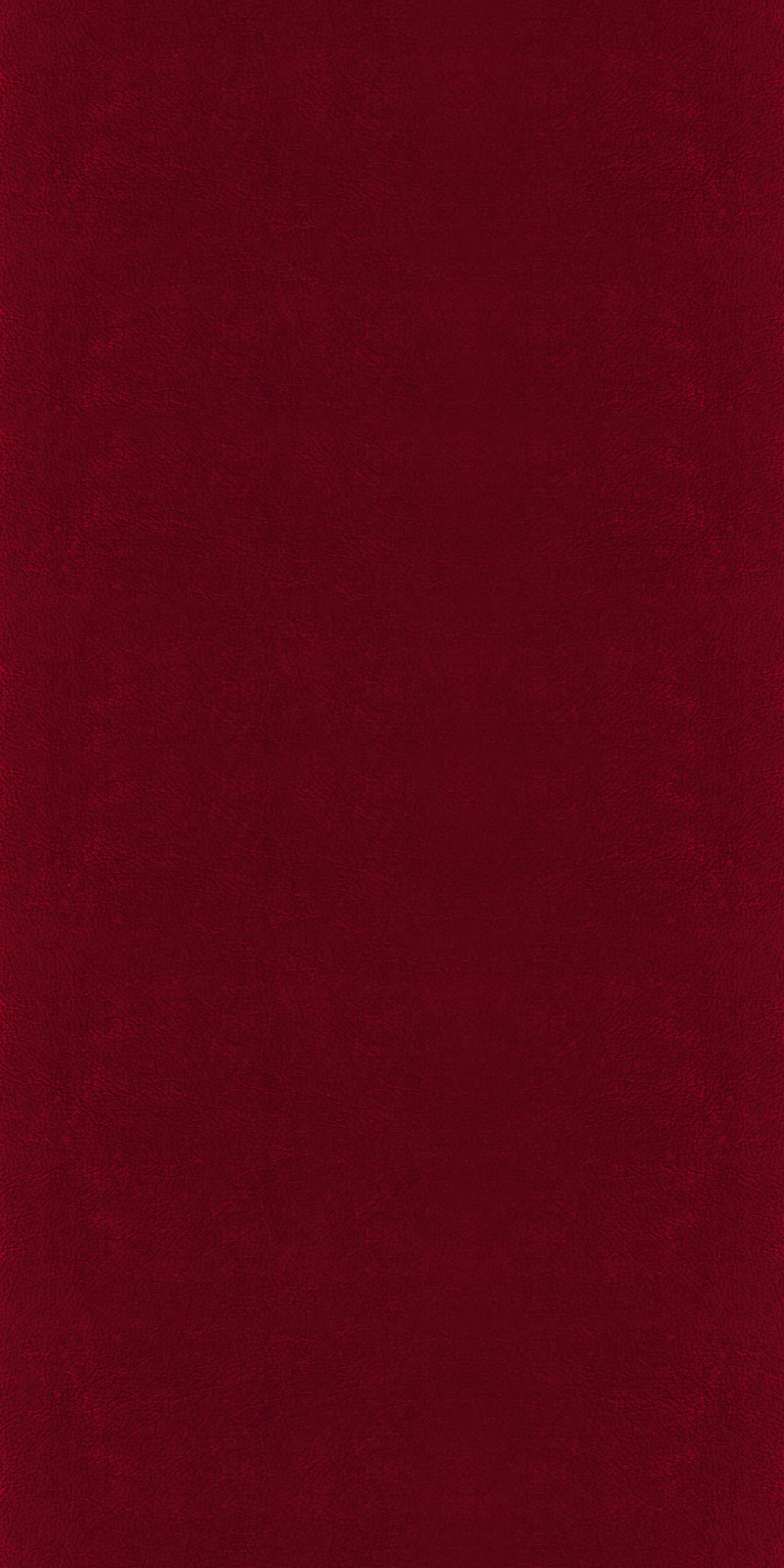 319-3-Cleanick-511112-Velvet