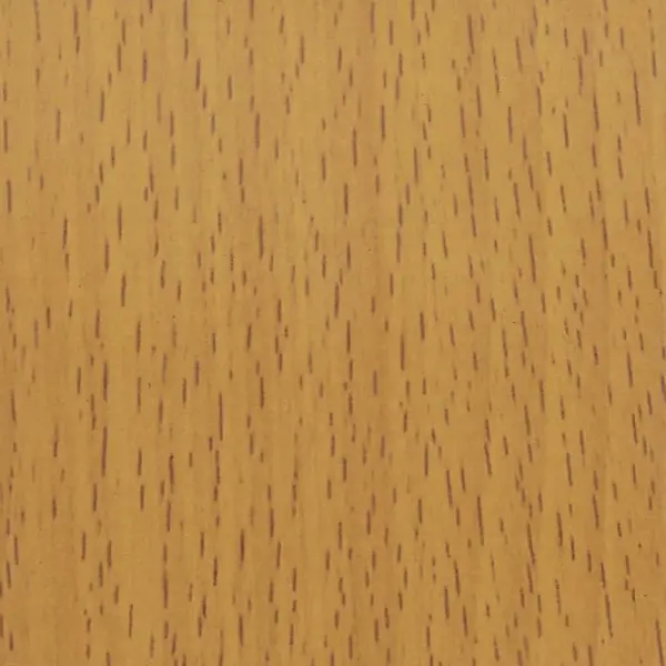 Oak #5 {WG}