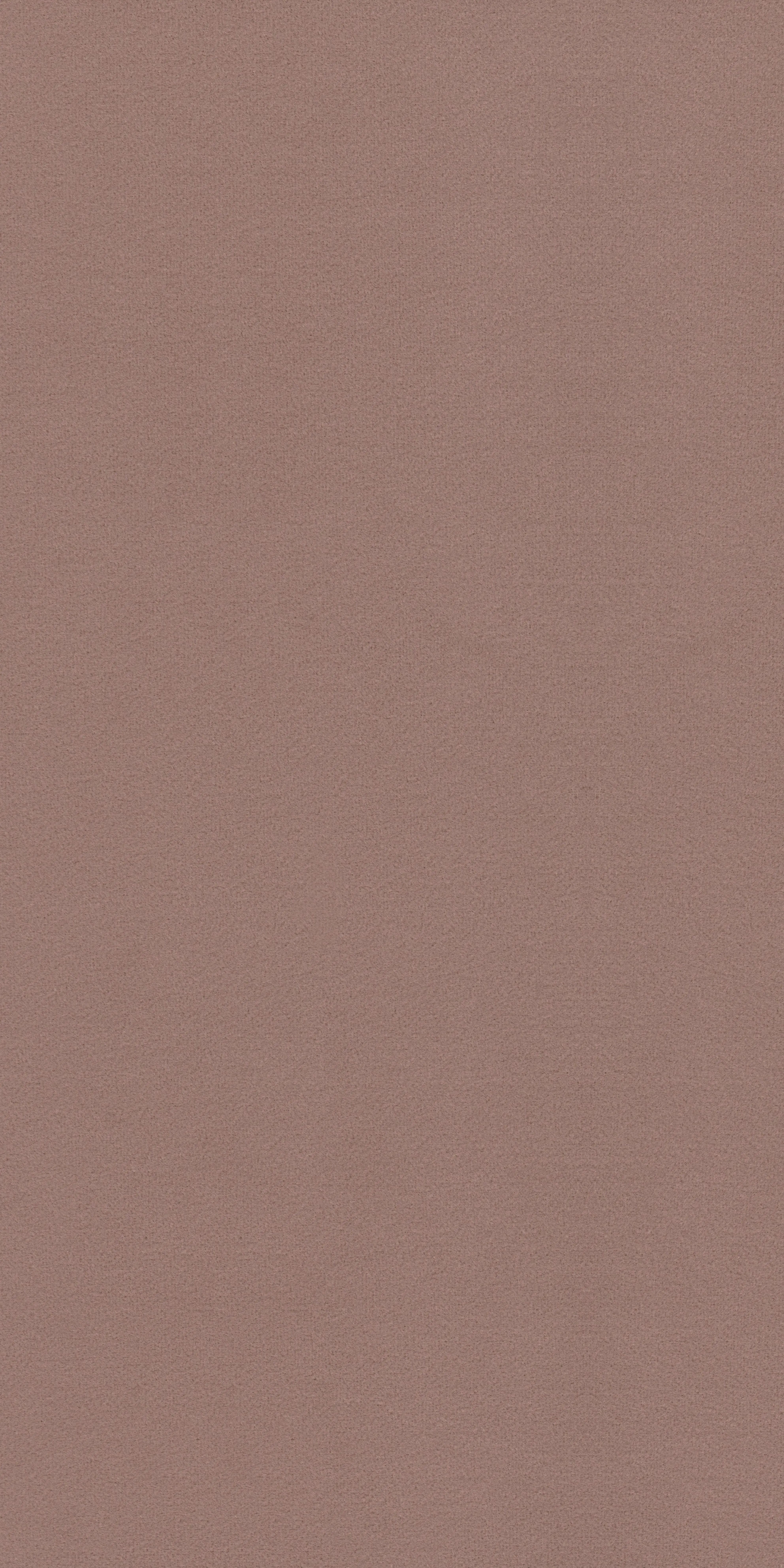 320-3-Saloni-19-Velvet