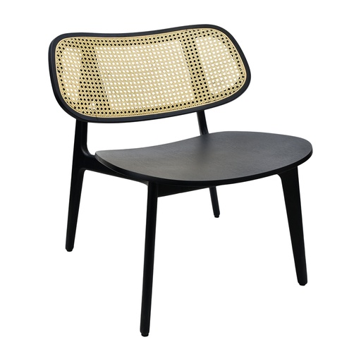 Brazil Wide Chair - CW-3716-W