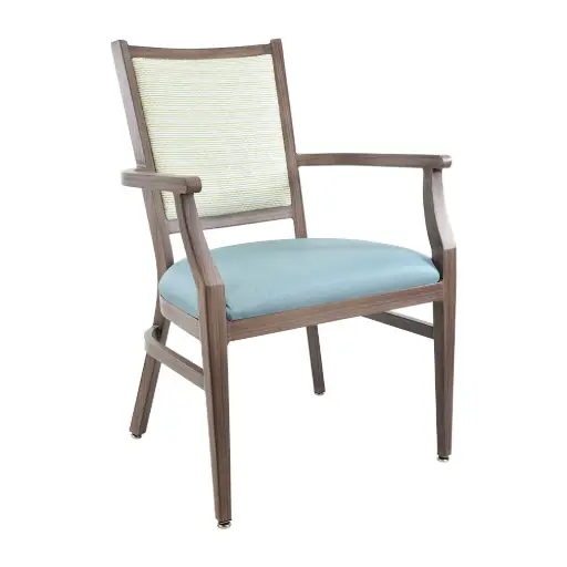 Rimini Arm Chair - CA-3822A