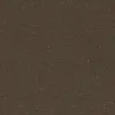 Sparkle Bronze #45 {PC}